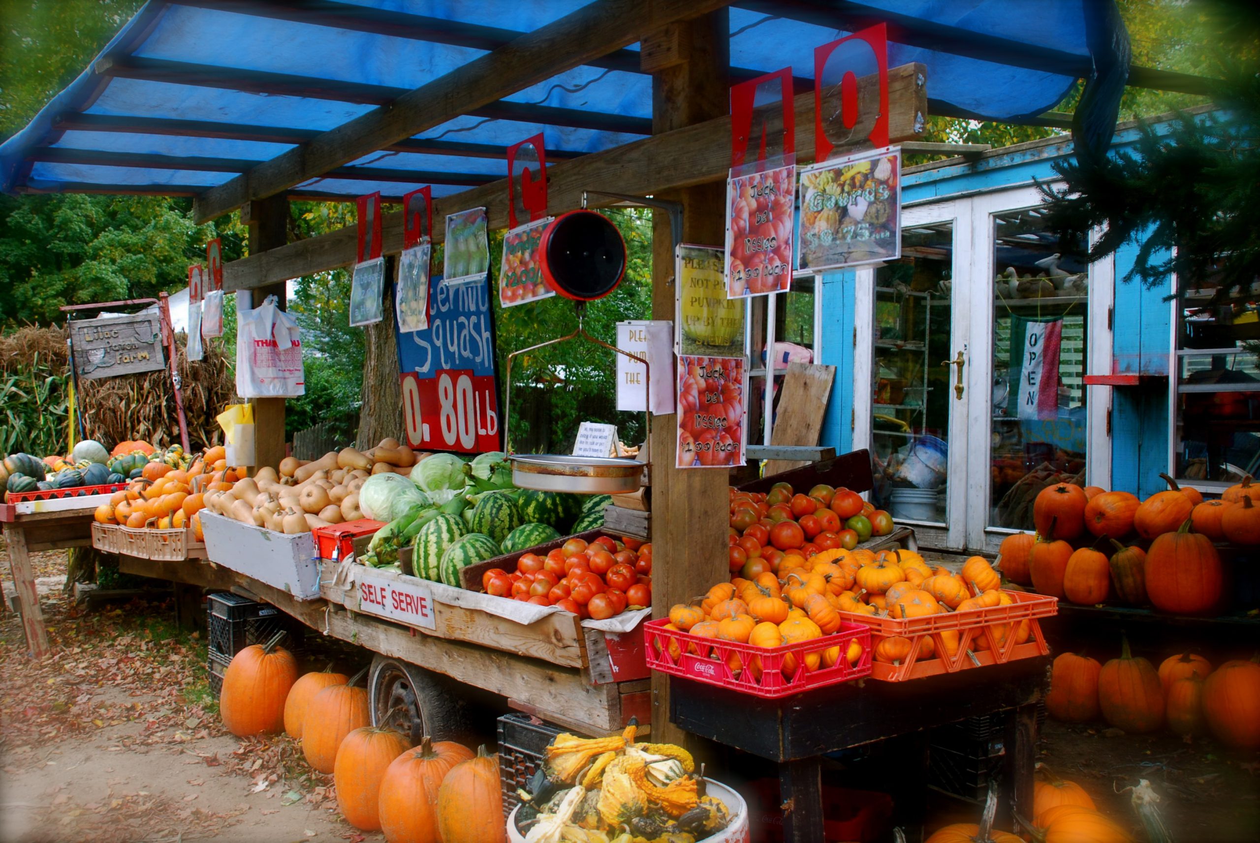 Farm Stand (user submitted)