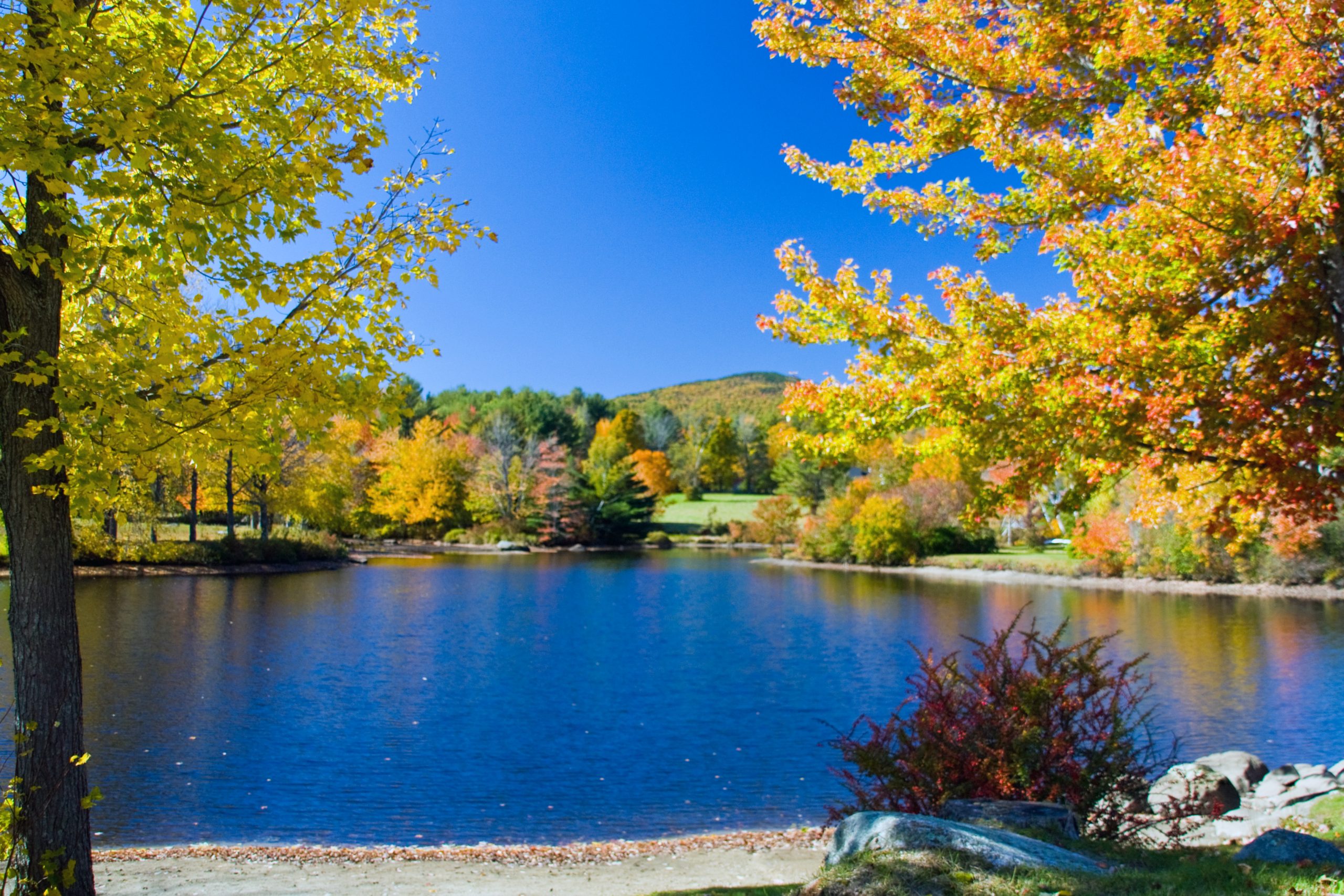 Colorful Mill Pond (user submitted)