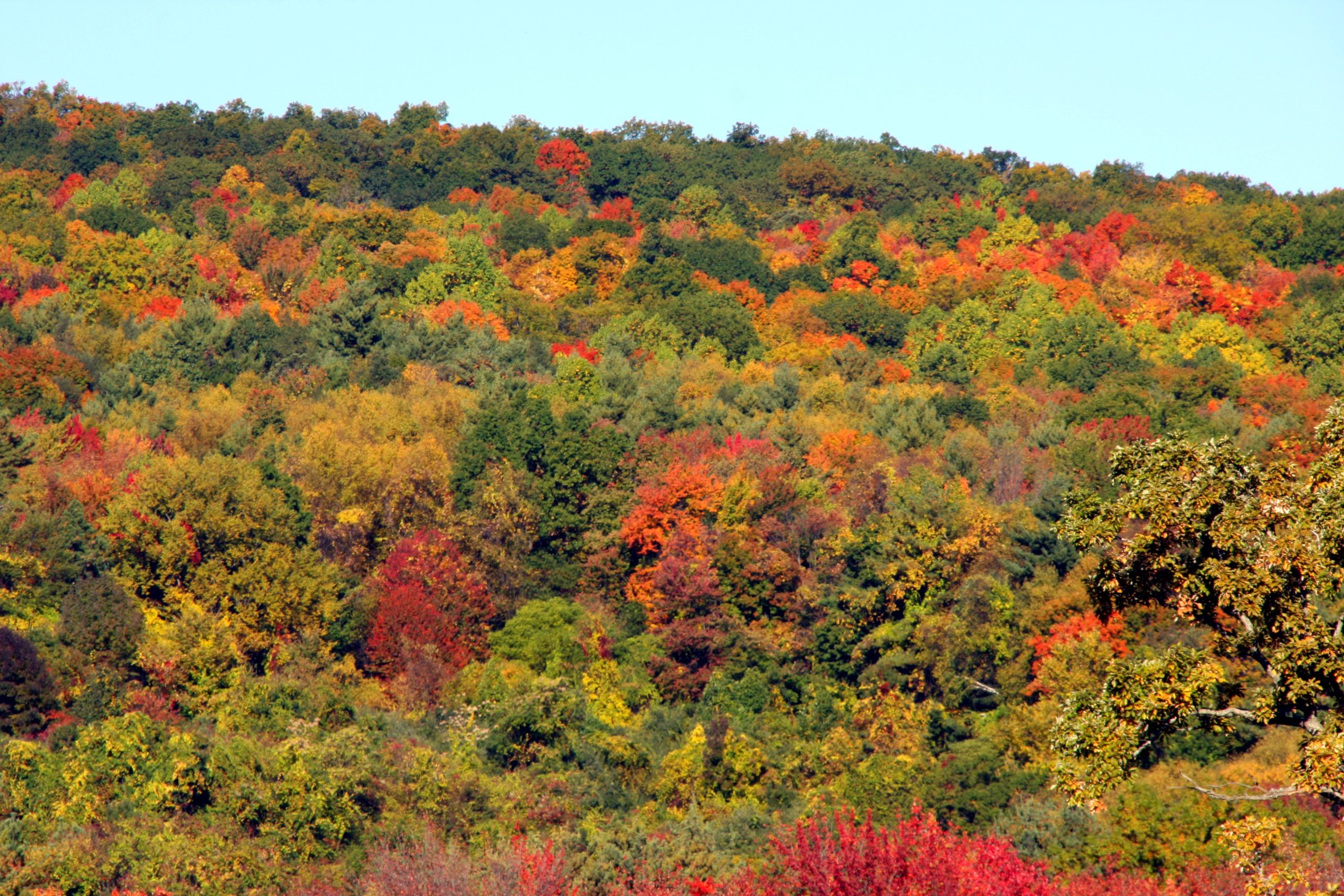 Autumn In New England (user submitted)