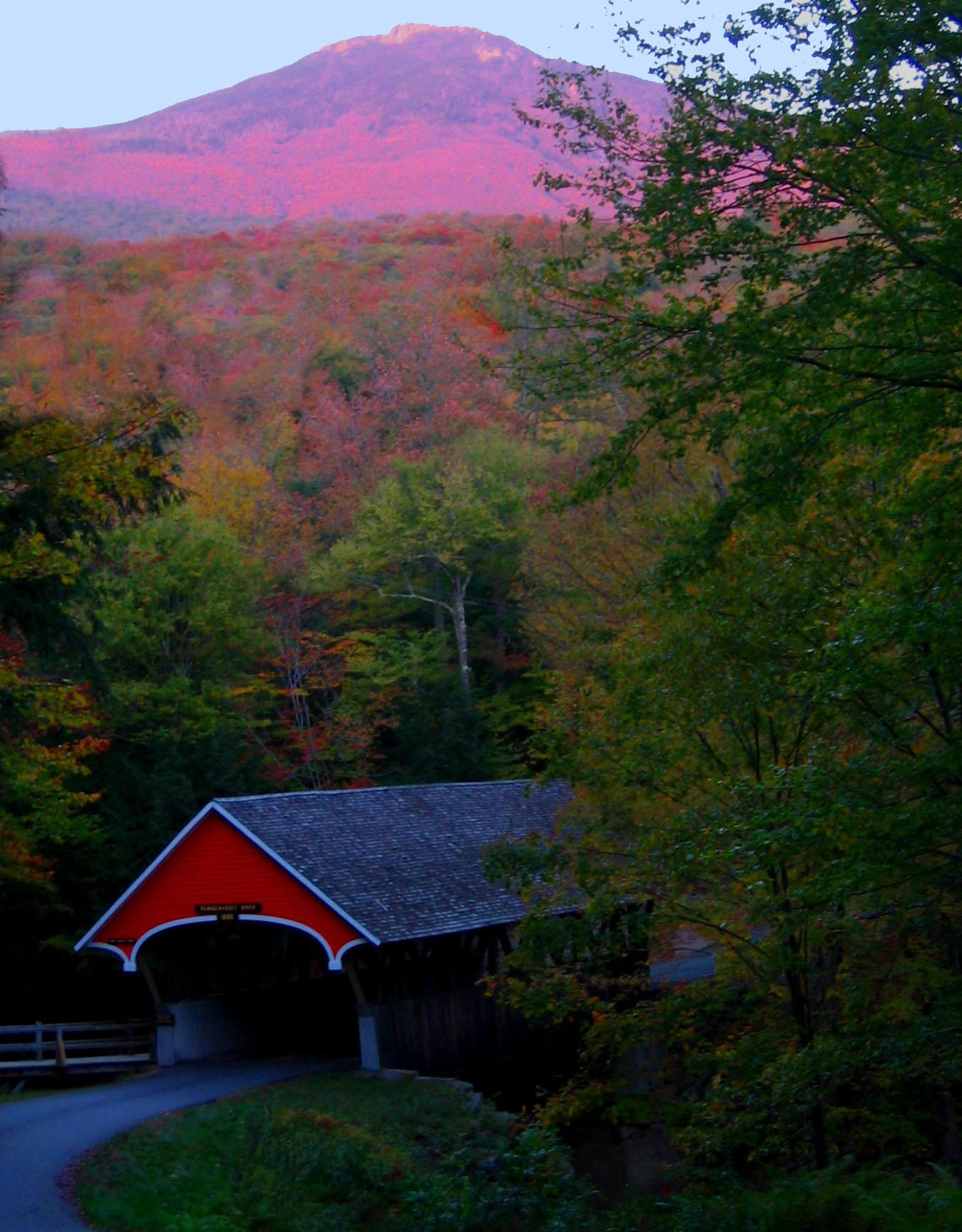 Flume gorge covered Bridge in the fall (user submitted)