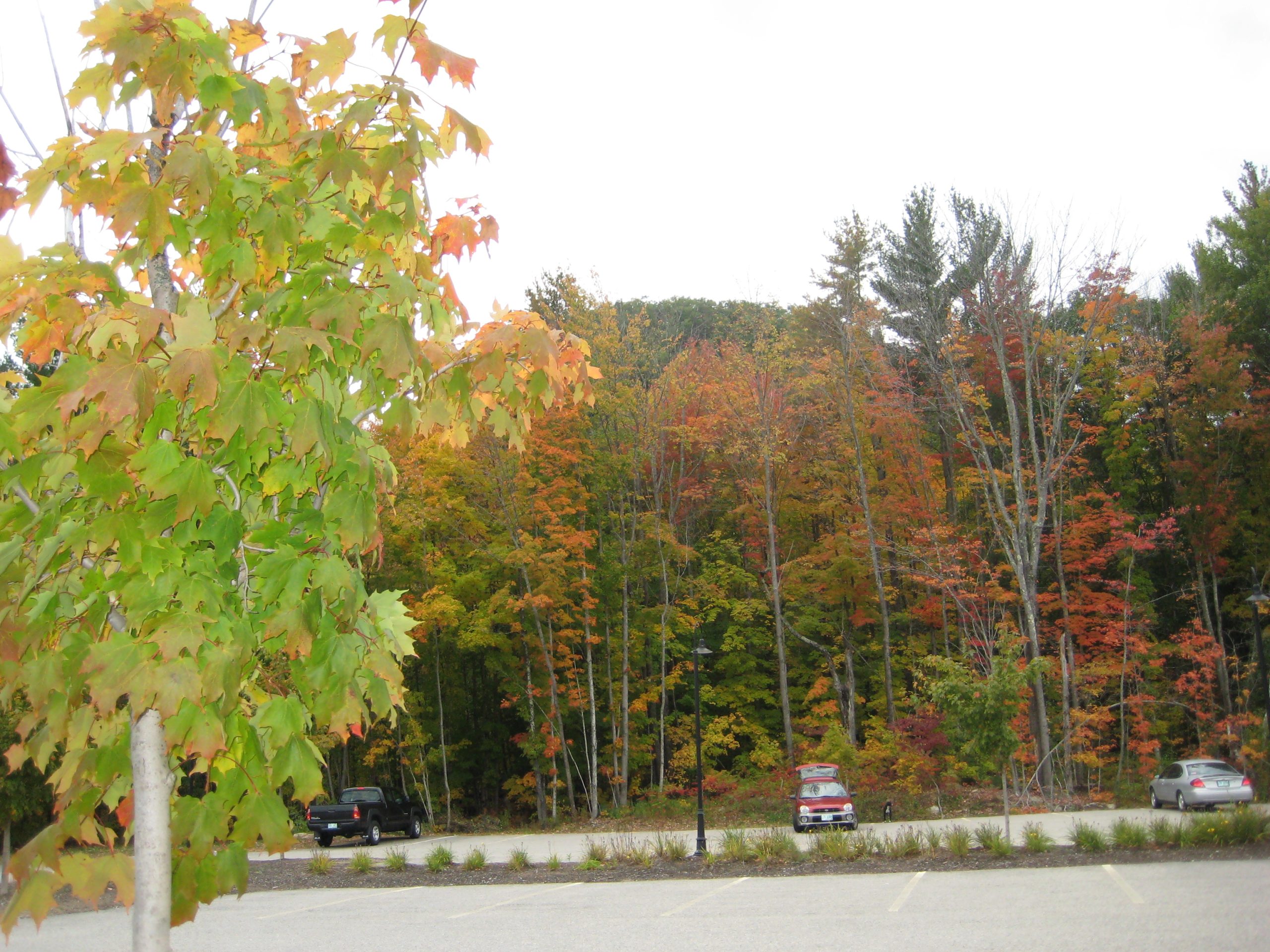 Nh Fall Color (user submitted)
