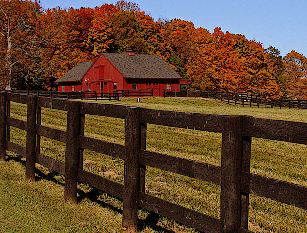 Fall On The Farm (user submitted)
