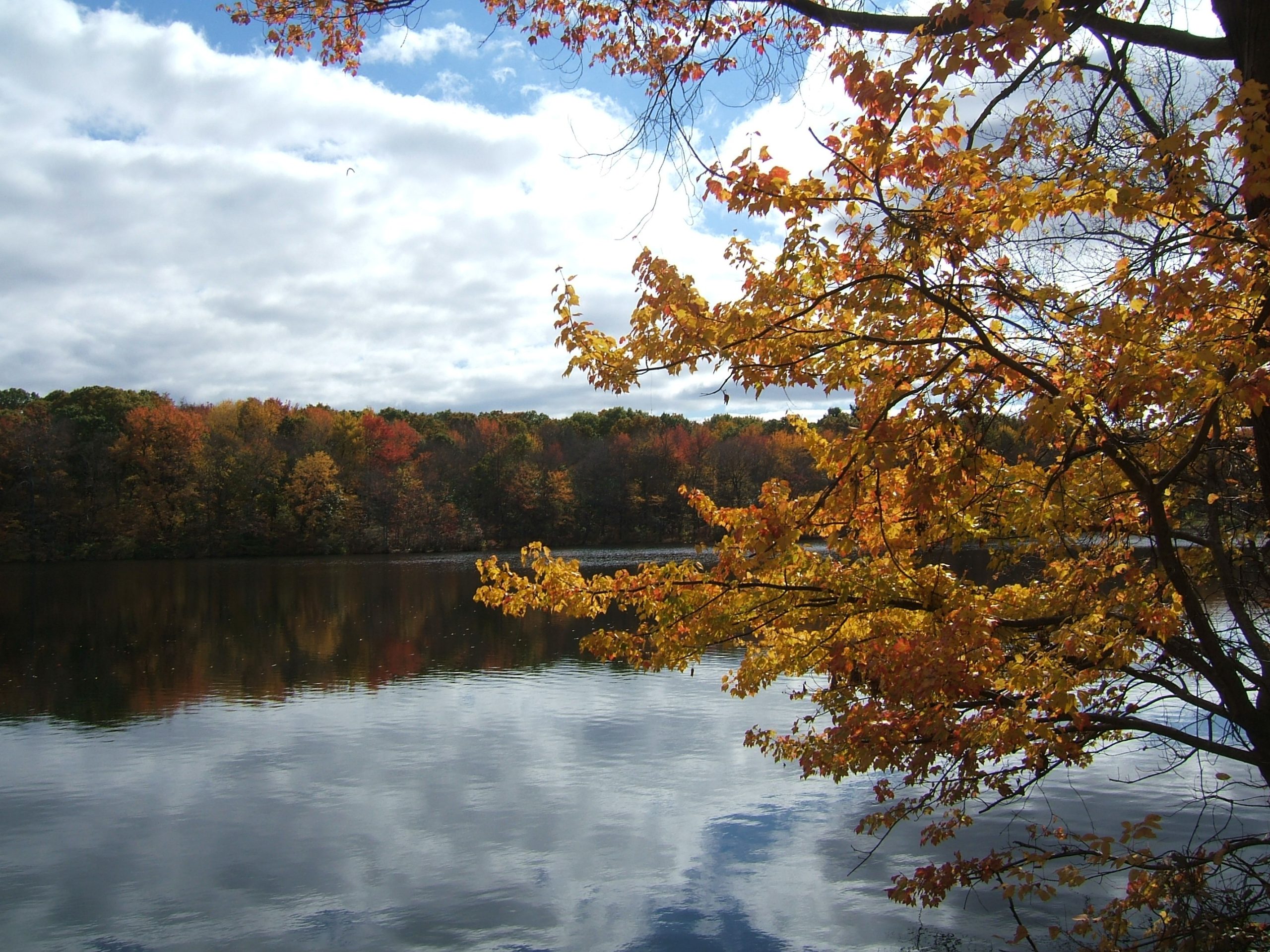 Fall On The Lake (user submitted)