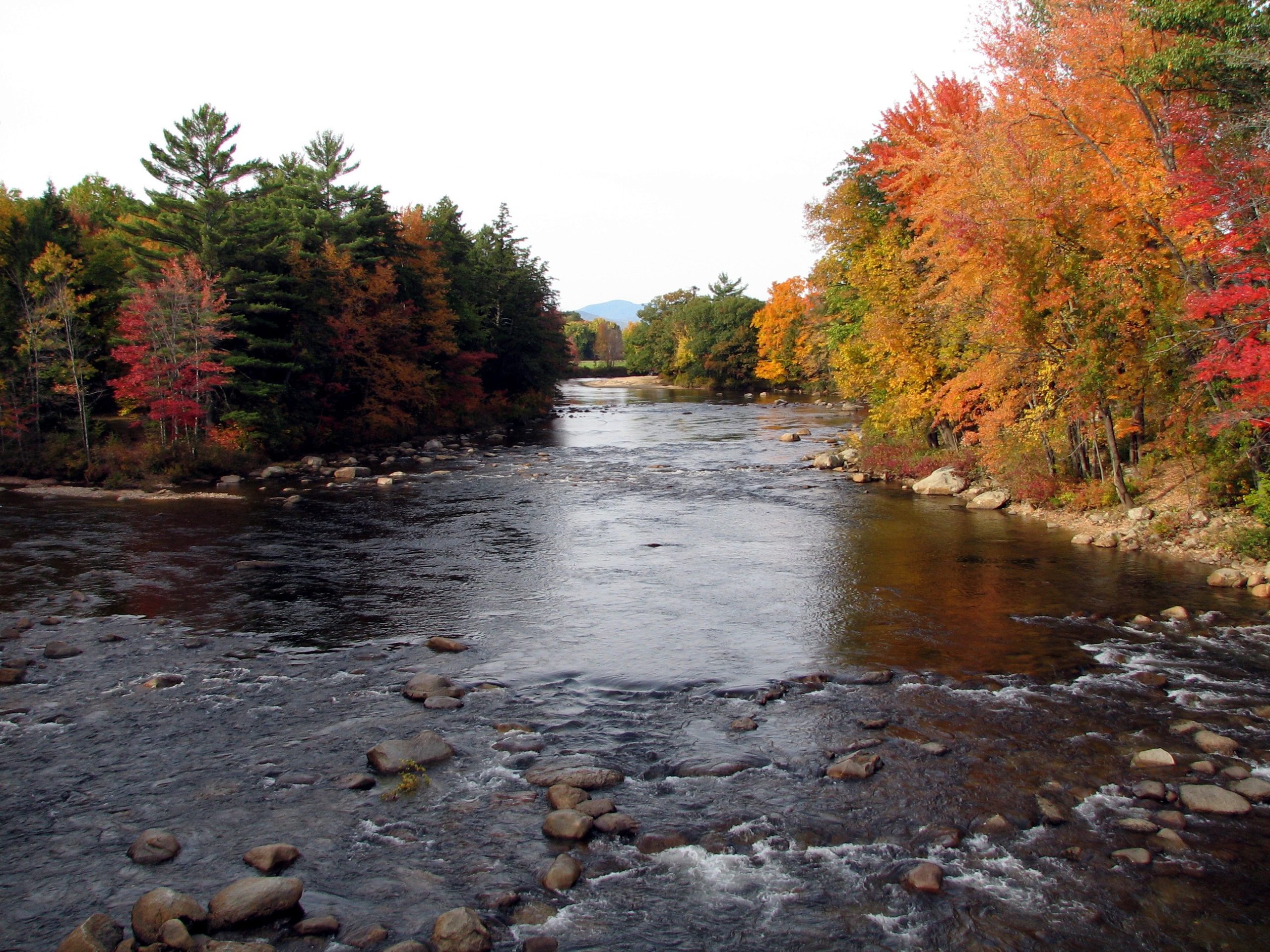 Fall Color On The Saco River (user submitted)