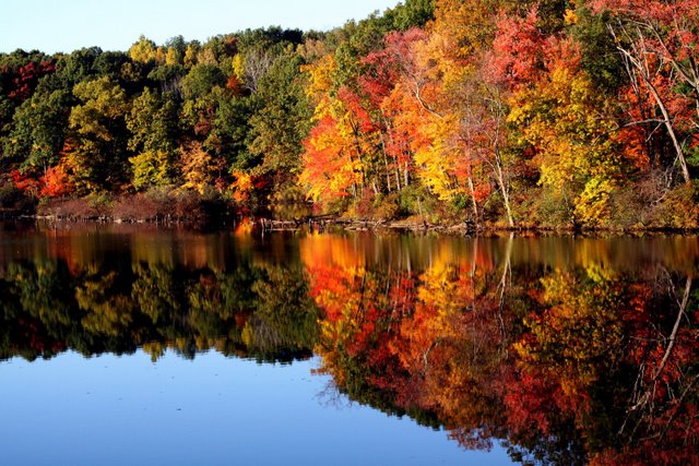 River Reflects Foliage - New England