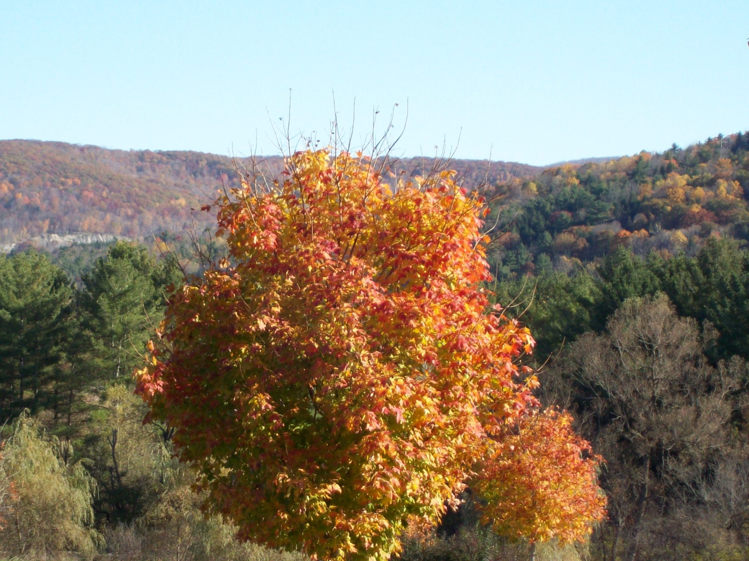 Fall In The Berkshires (user submitted)