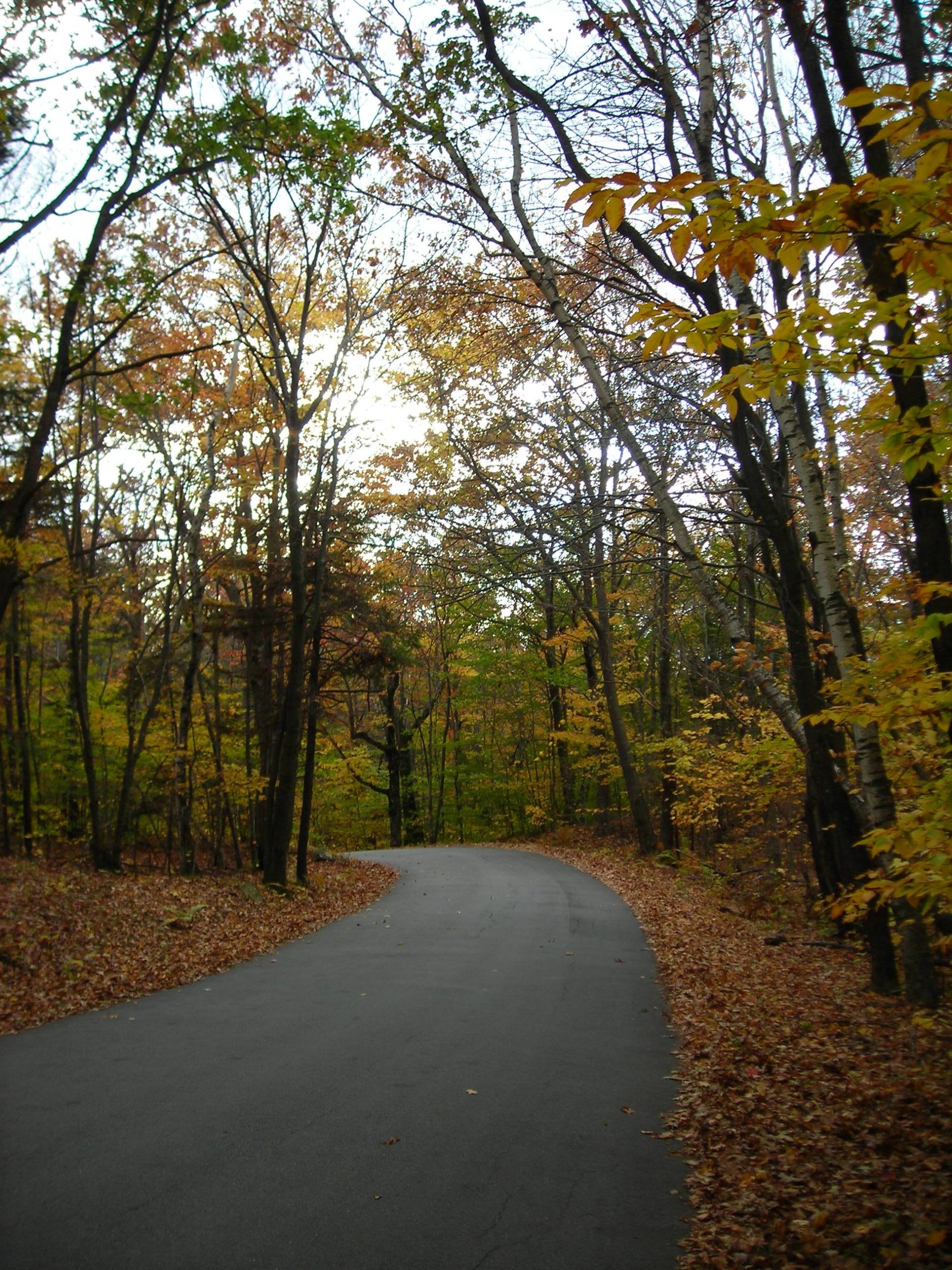 Autumn Road (user submitted)