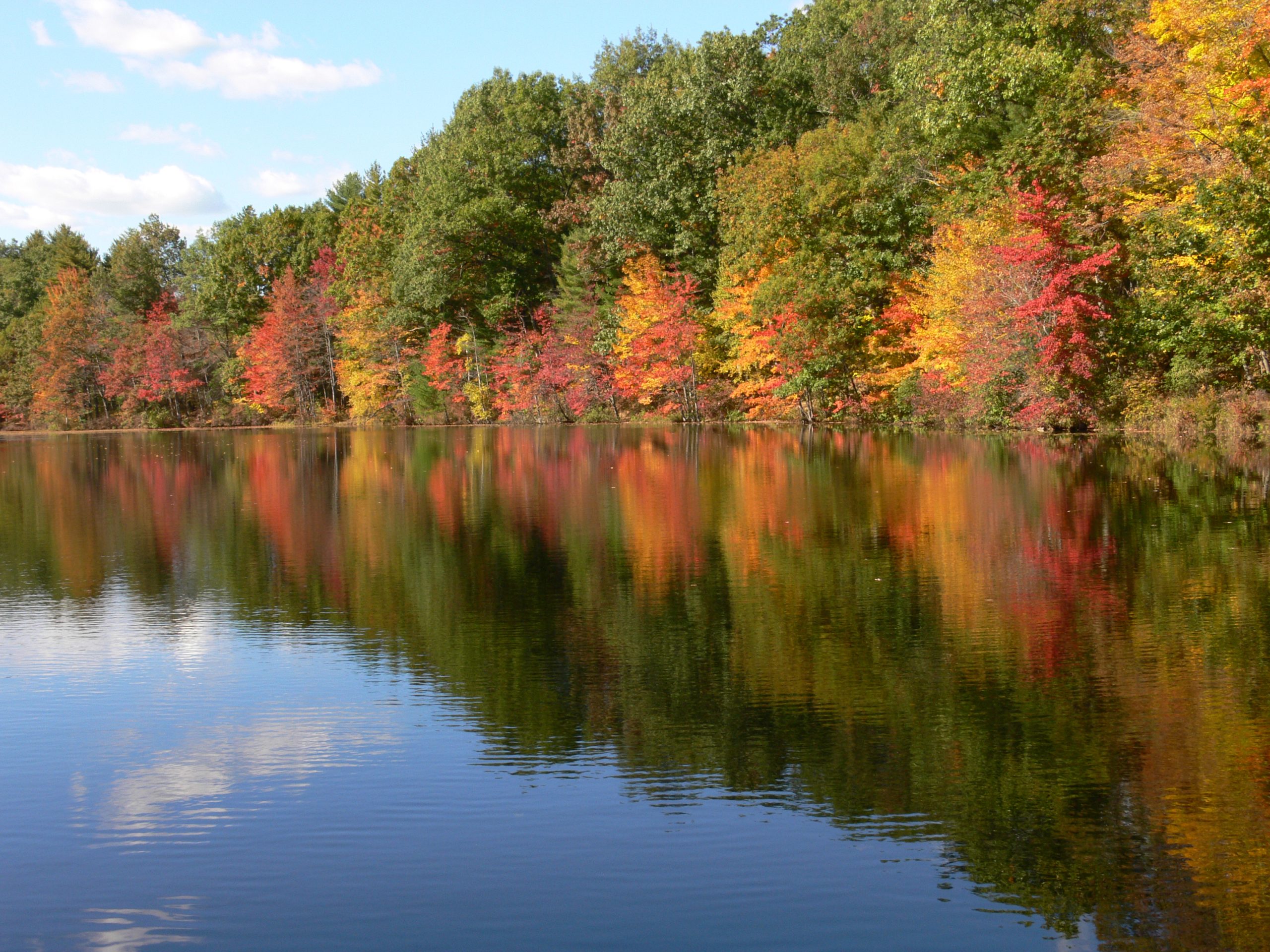 Fall Reflections (user submitted)
