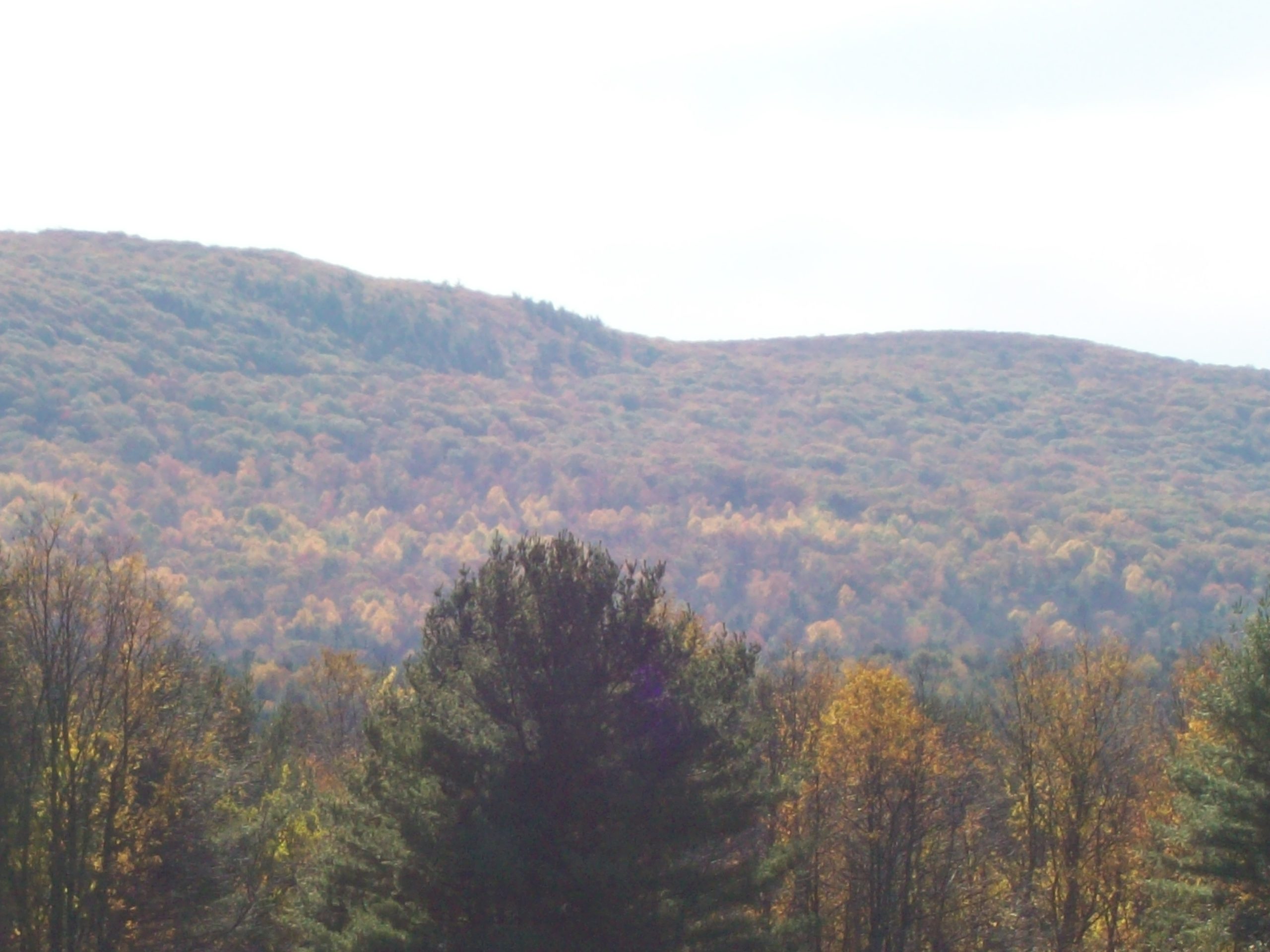 Fall In The Berkshires (user submitted)