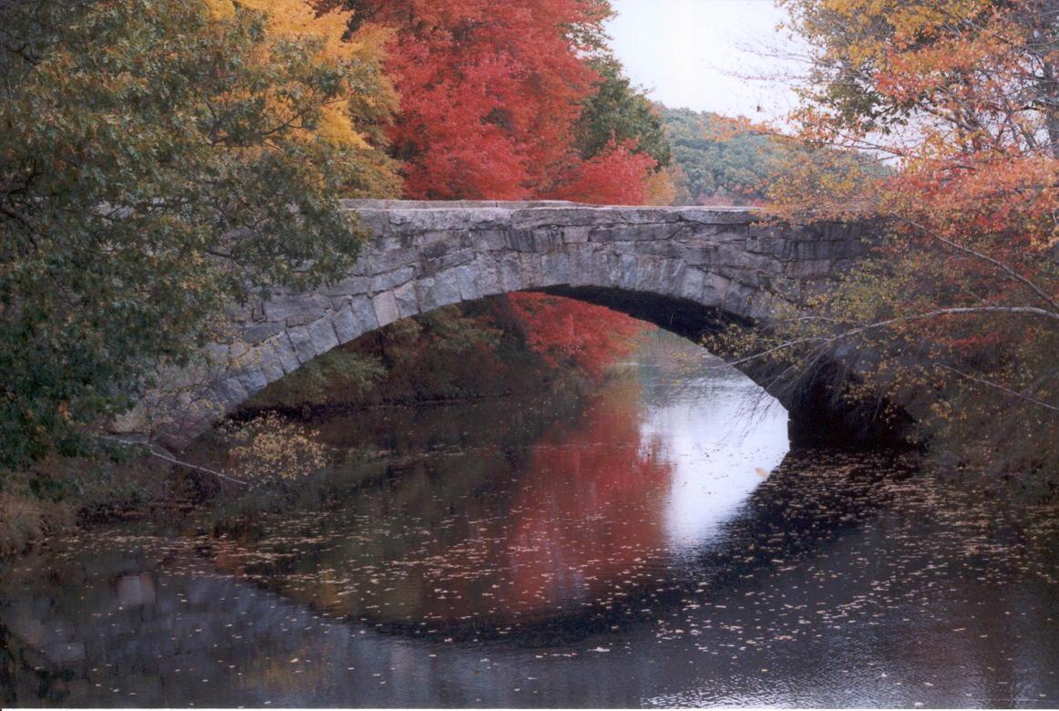 Autumn Bridge (user submitted)