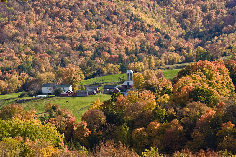 Farm In Danby Vt (user submitted)