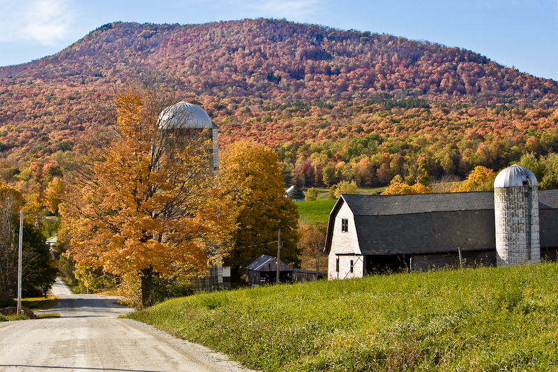 Farm Road In Danby Vt (user submitted)