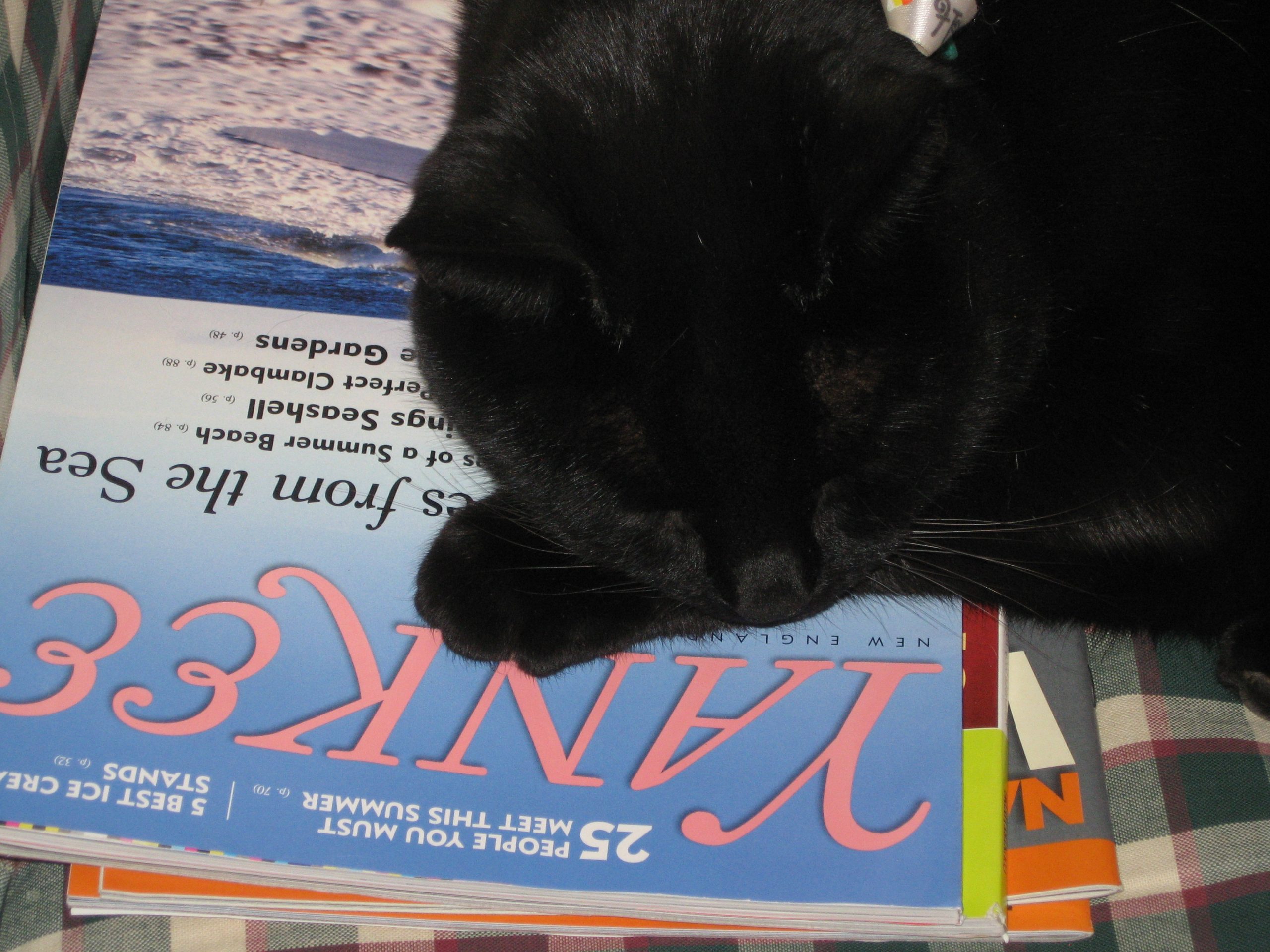 Everyone Loves Yankee Magazine! (user submitted)