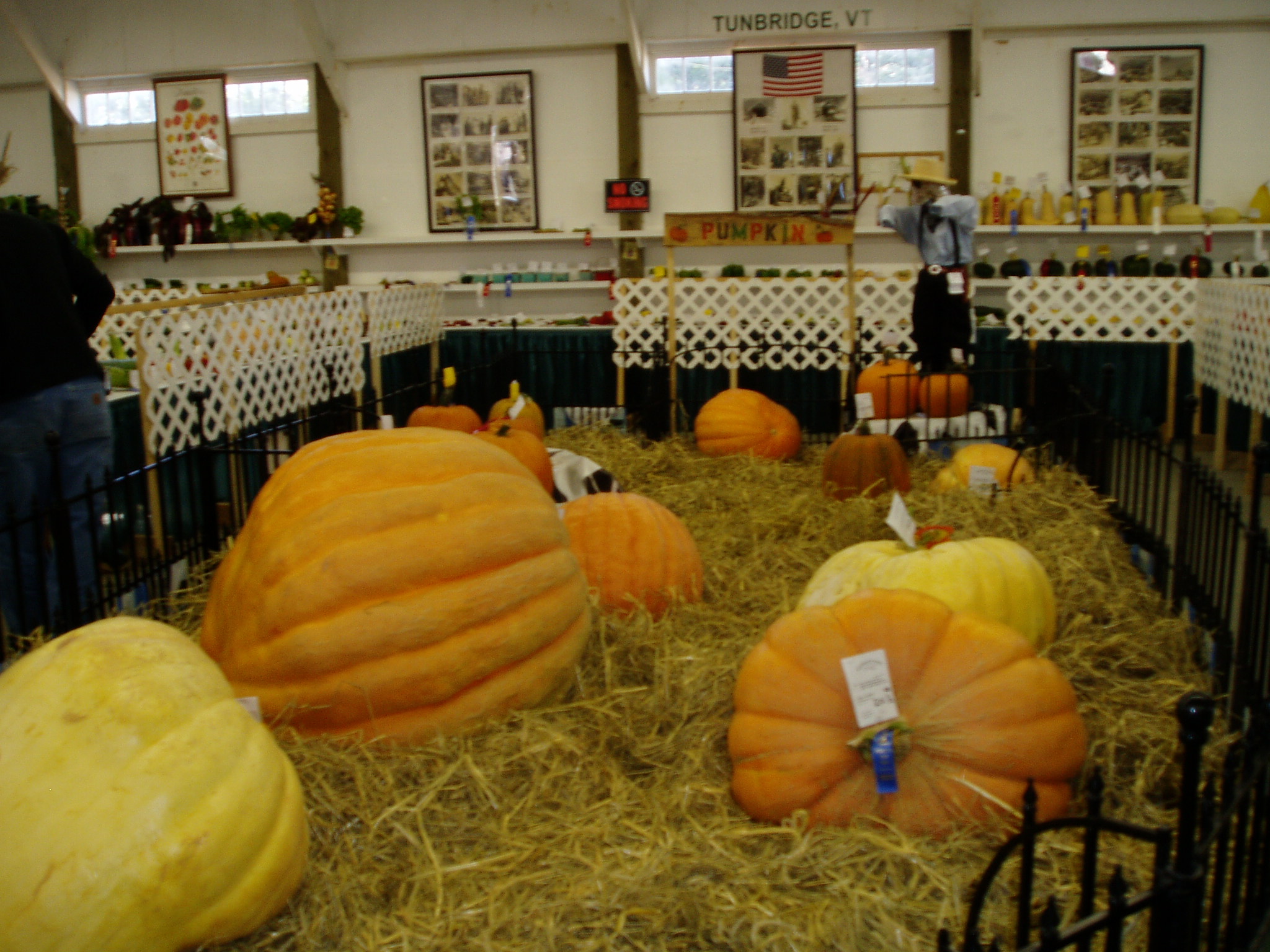 Pumpkins At The Tunbridge Fair (user submitted)
