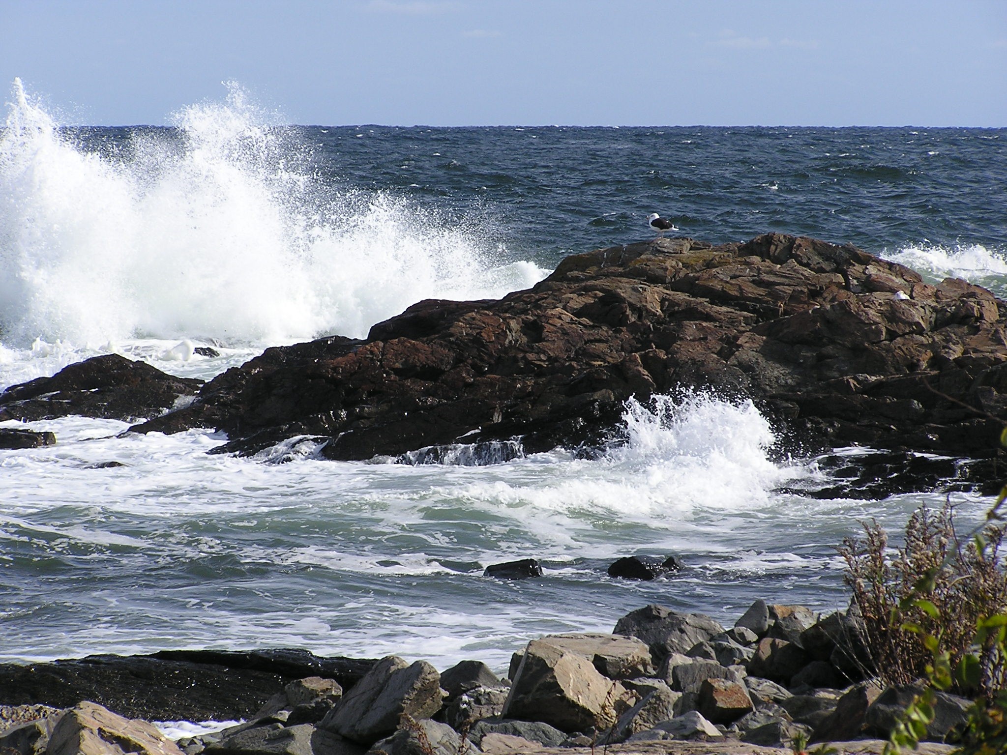 Marginal Way (1) (user submitted)