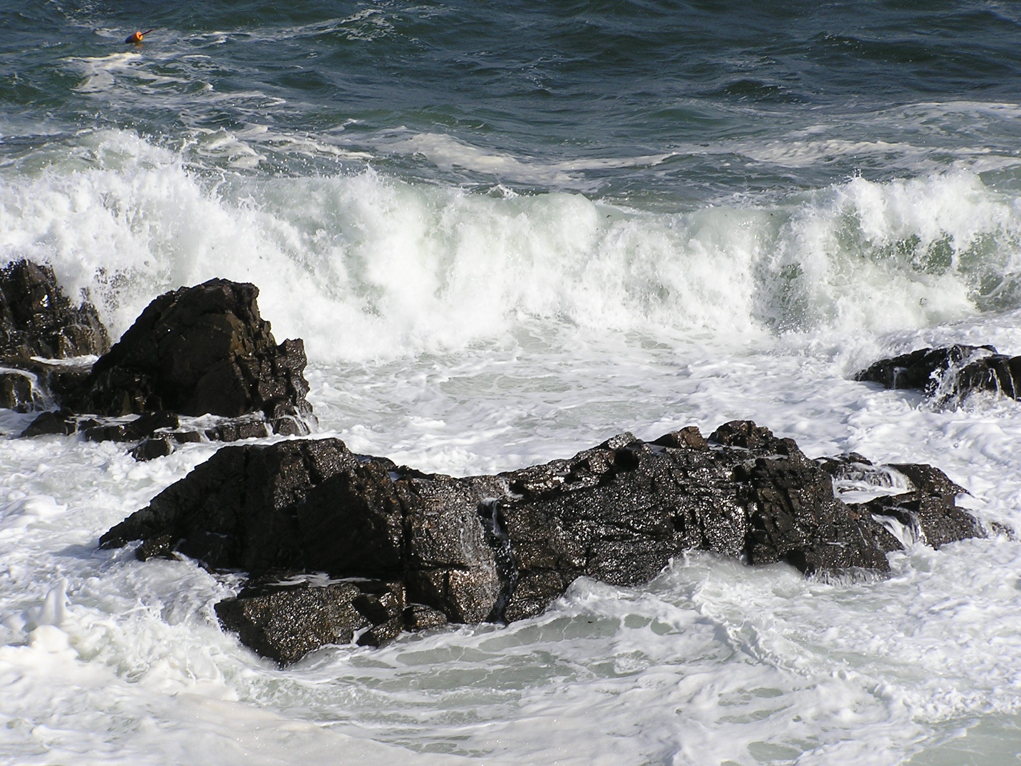 Marginal Way (3) (user submitted)