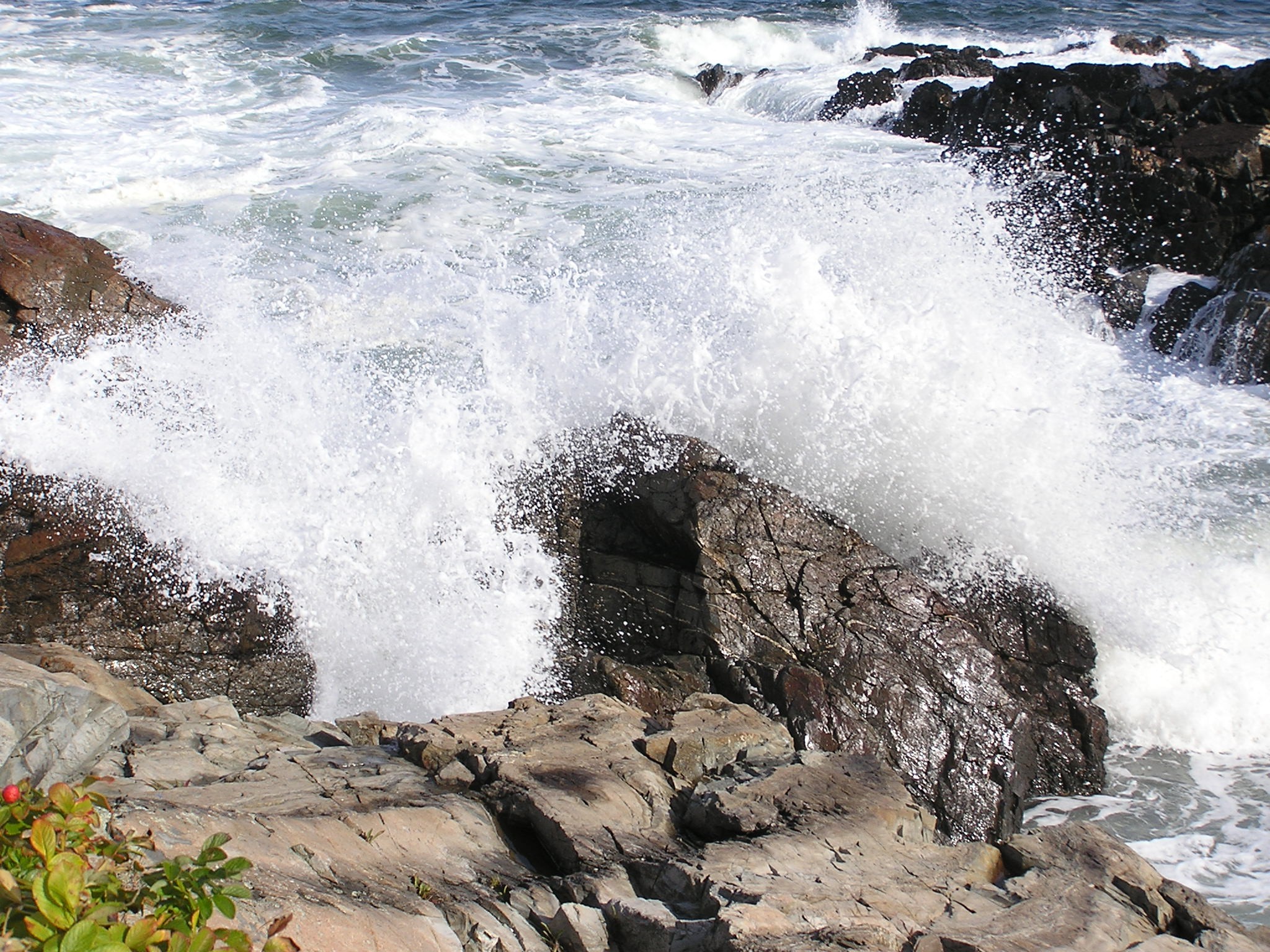 Marginal Way (6) (user submitted)