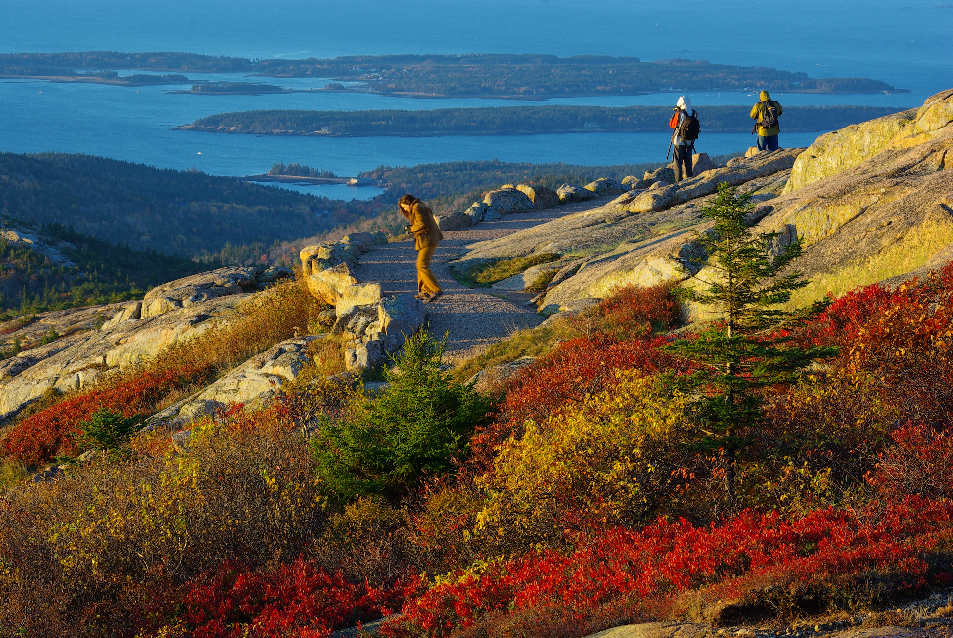 Fall View From Cadillac Mountain (user submitted)