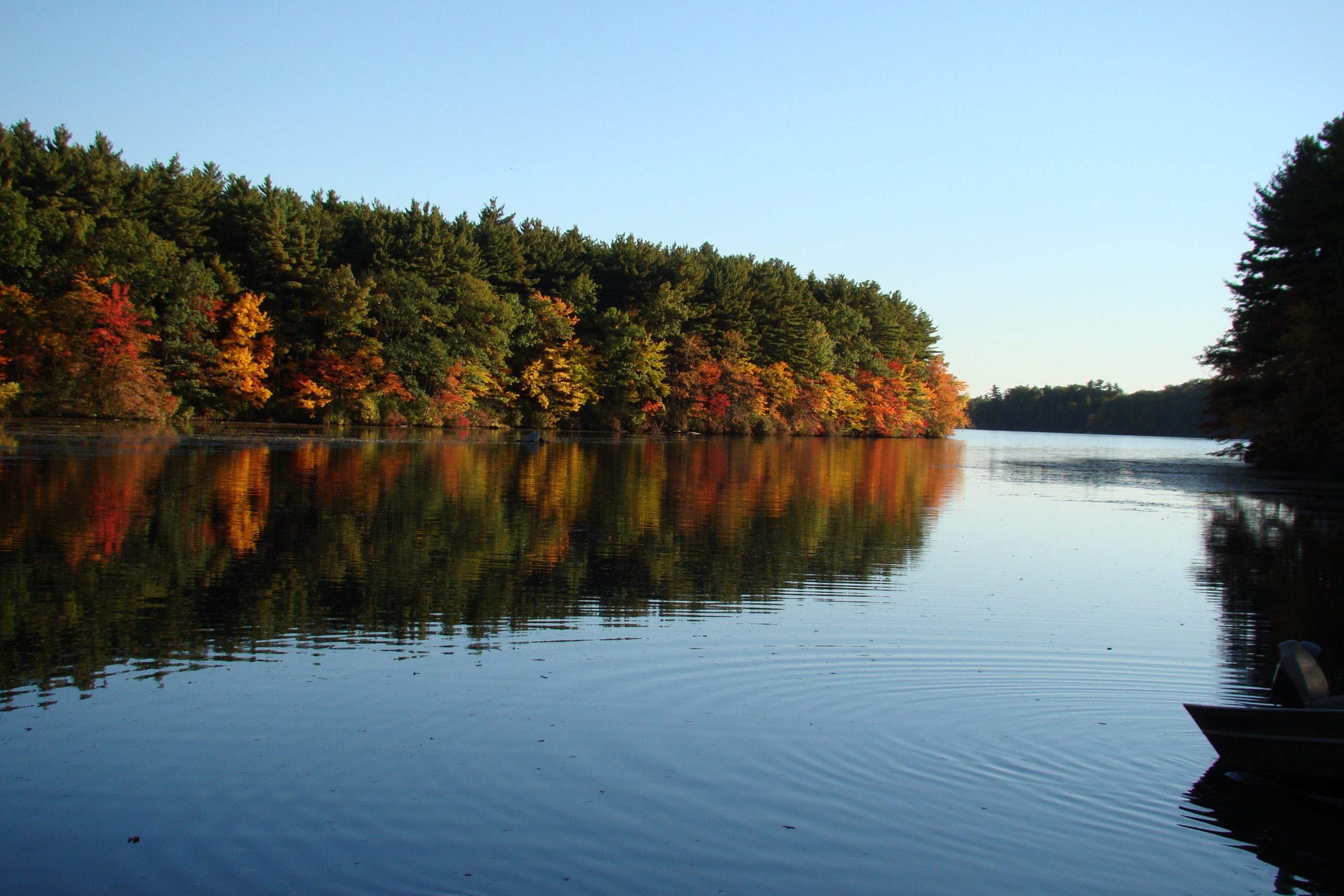 Reflection Of Autumn (user submitted)