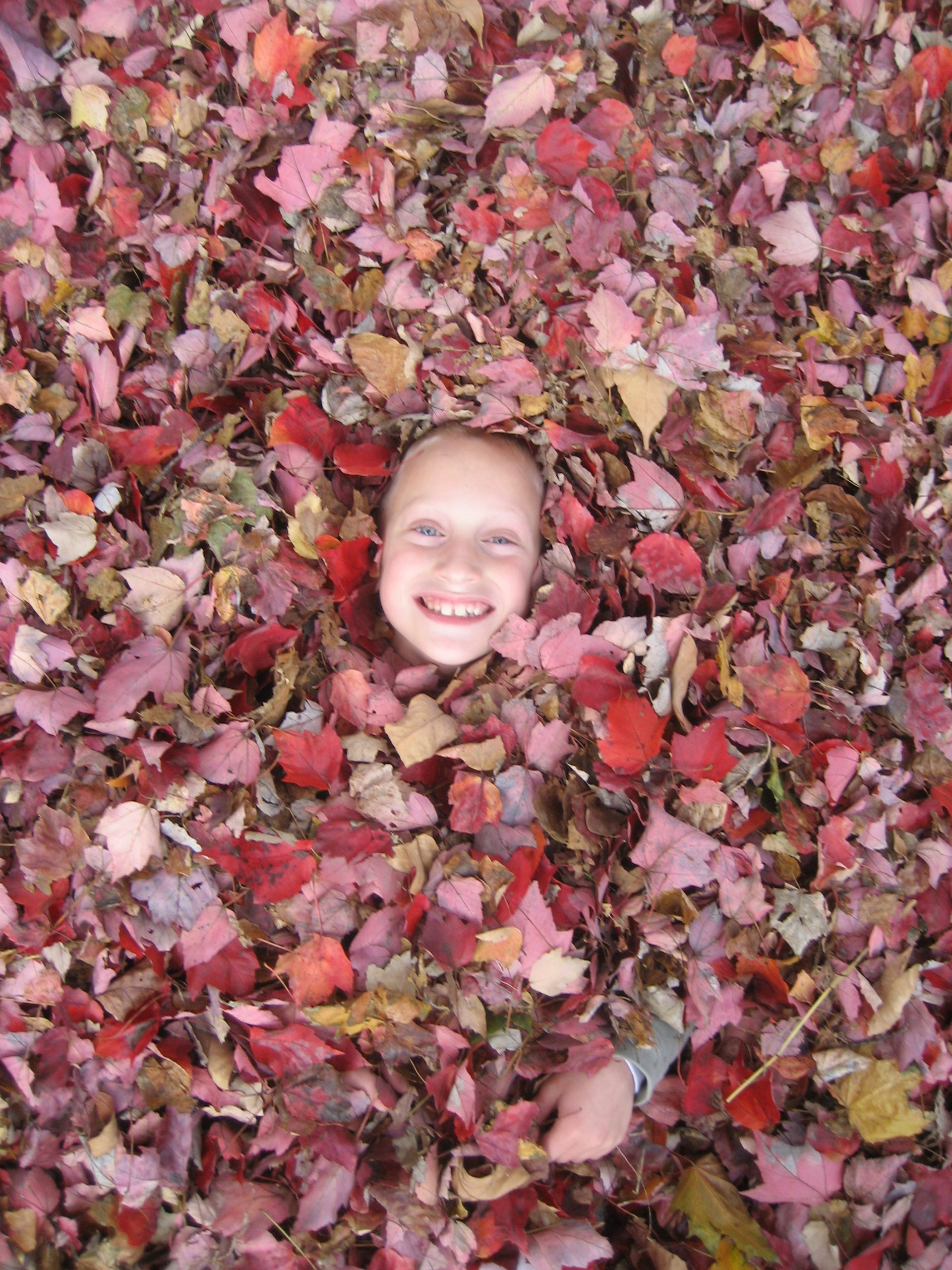 Foliage Face (user submitted)