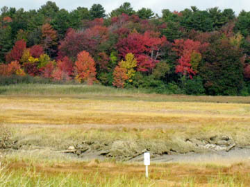 Rachel Carson Sanctuary In The Fall (user submitted)