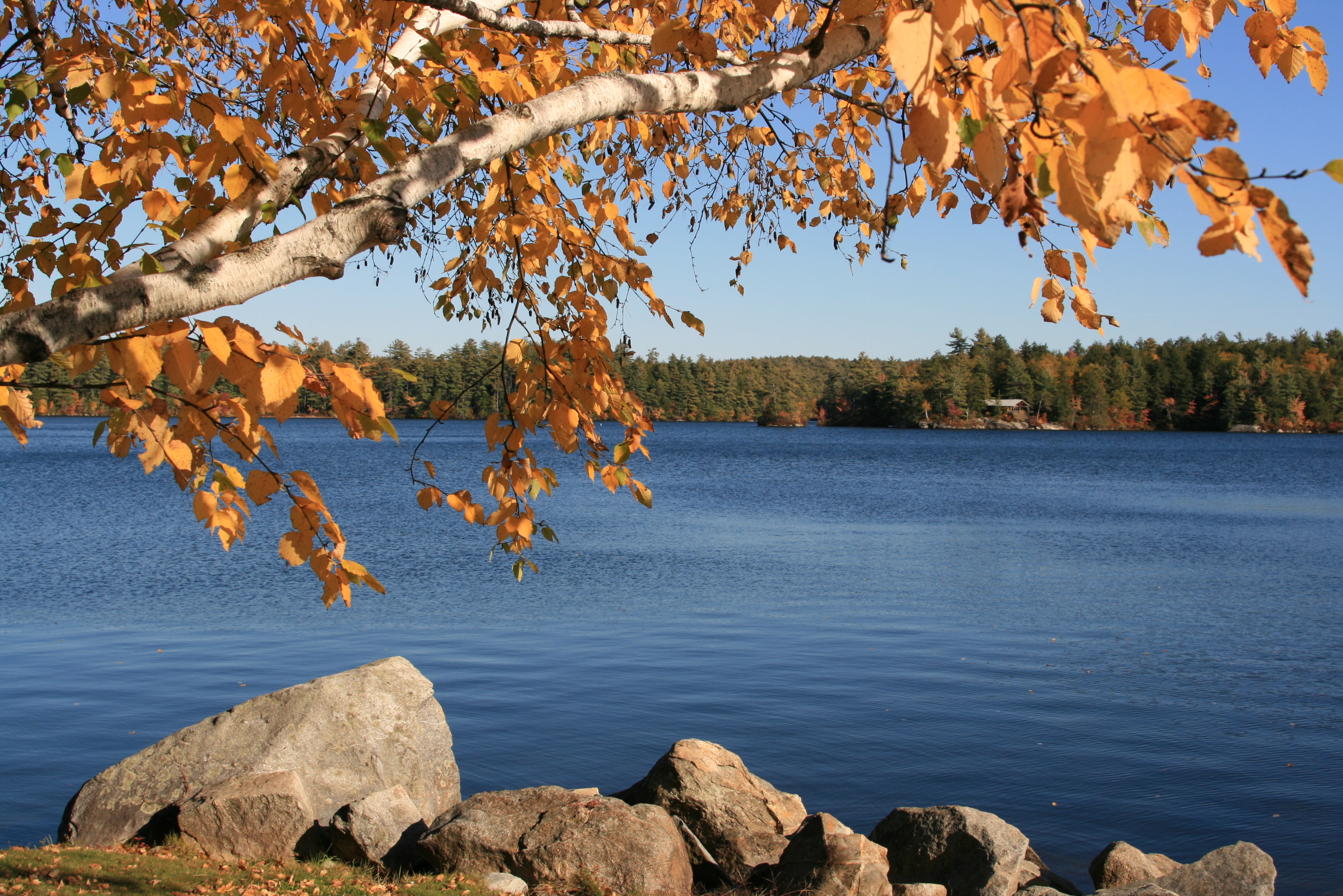 Lake Waukewan Afternoon New England Today