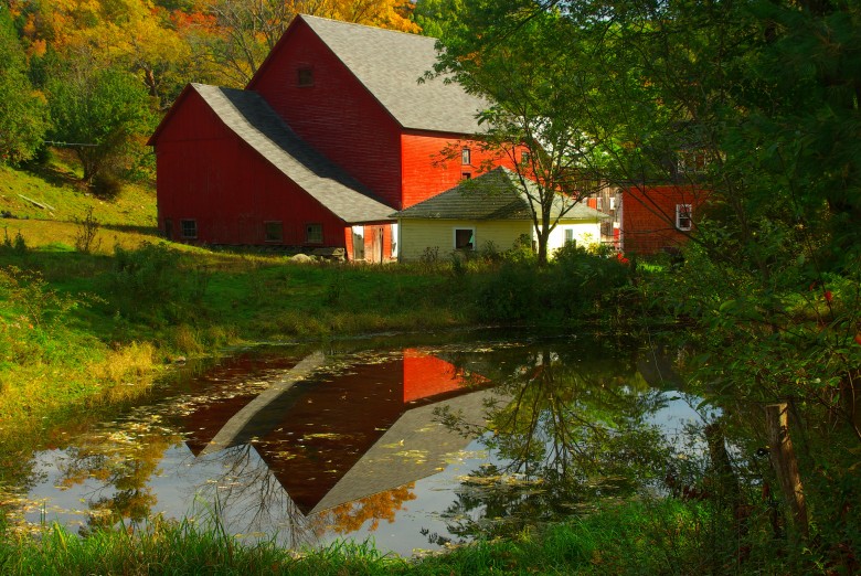 Farm Reflection In Pomfret, Vermont 