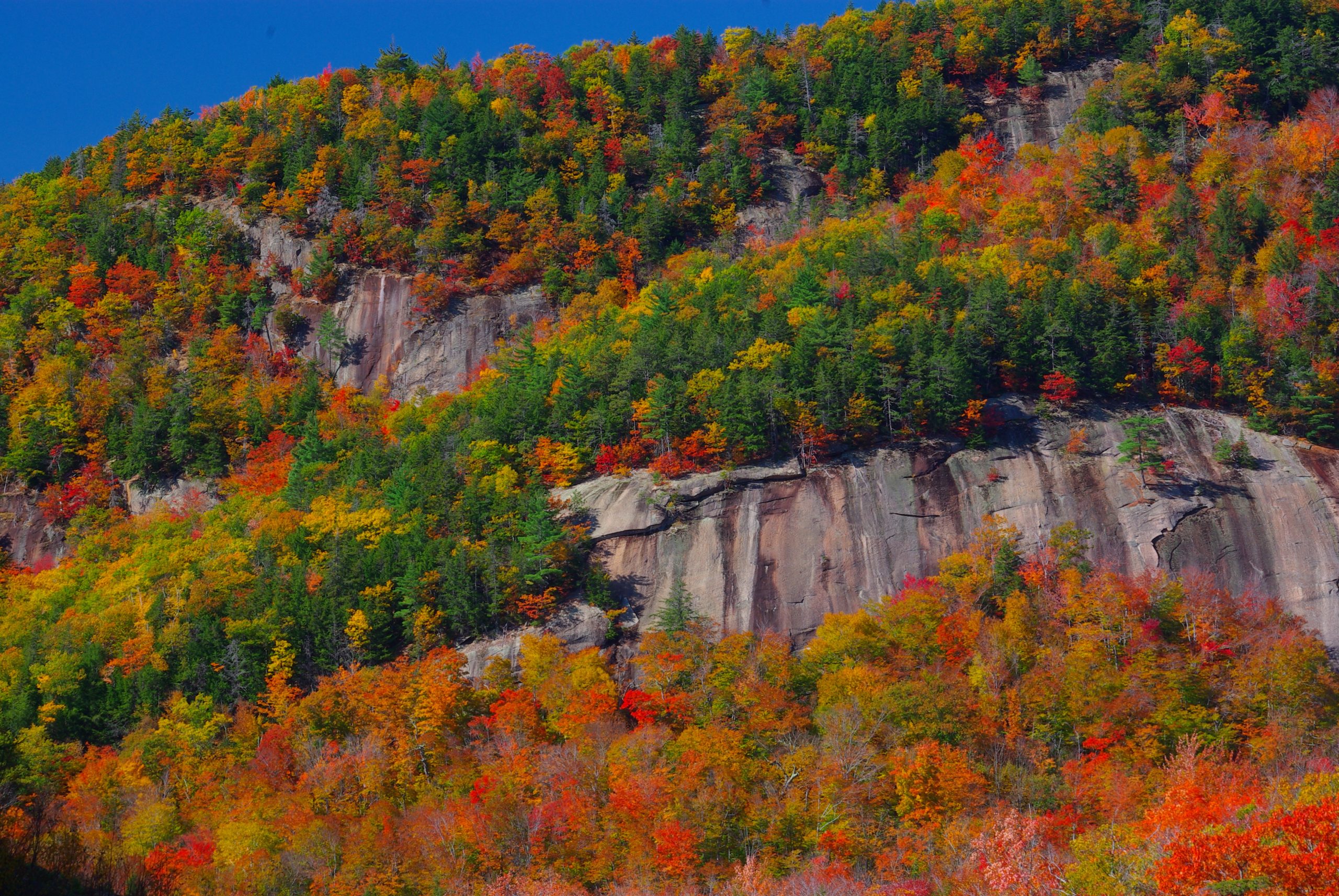 On The Kancamagus Highway (user submitted)