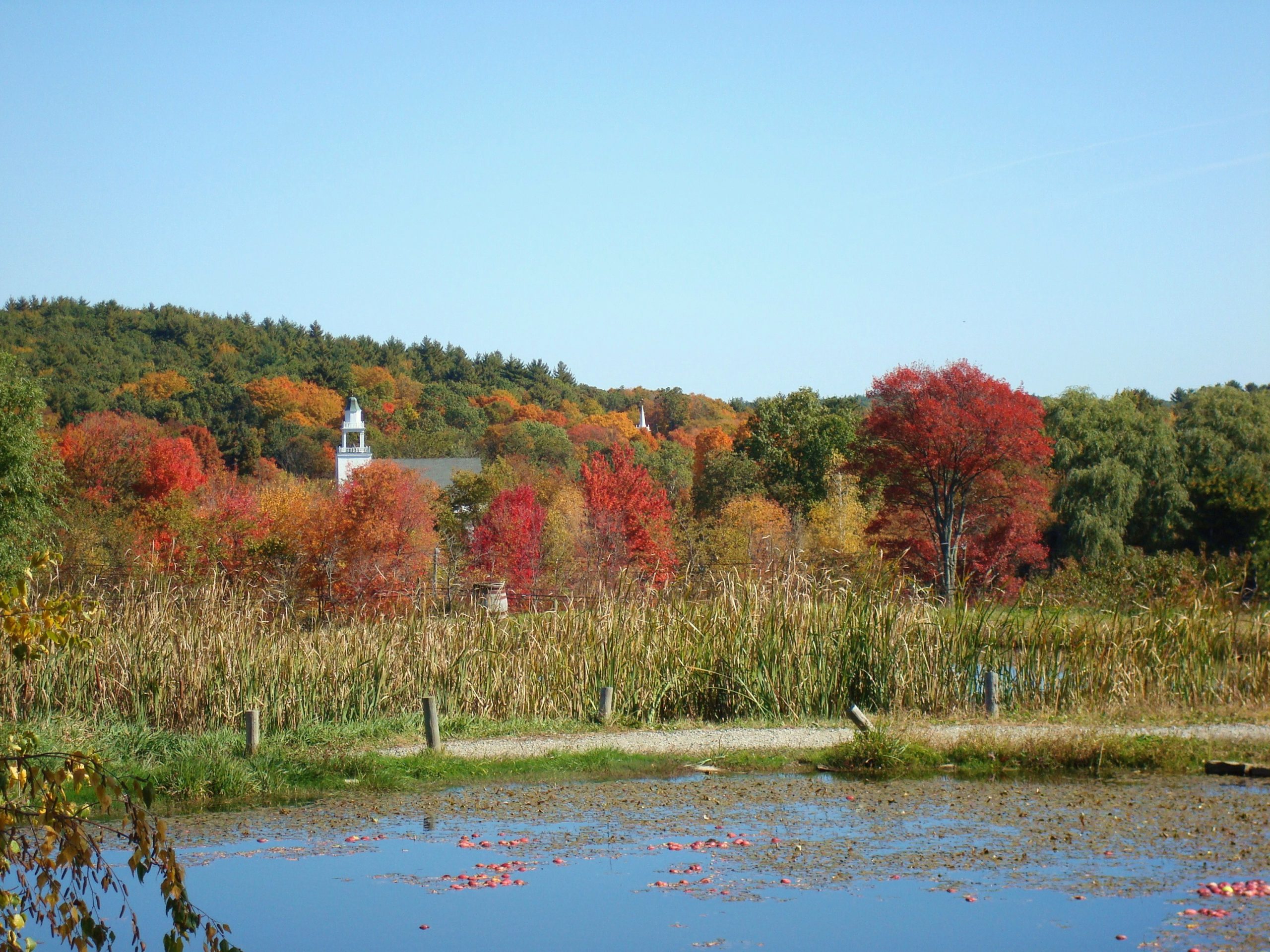 Nashoba Valley Color (user submitted)