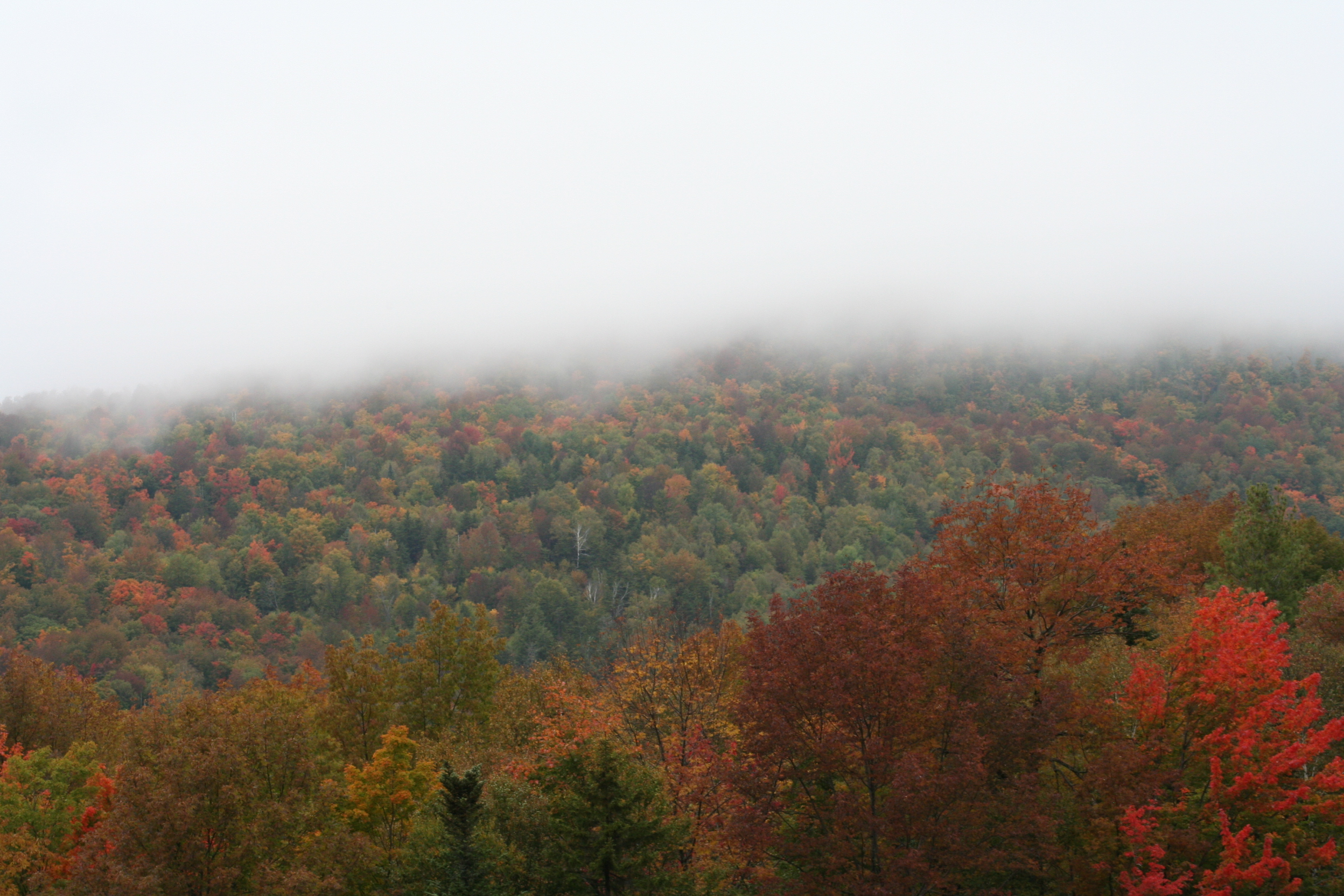 Fog Over Color (user submitted)