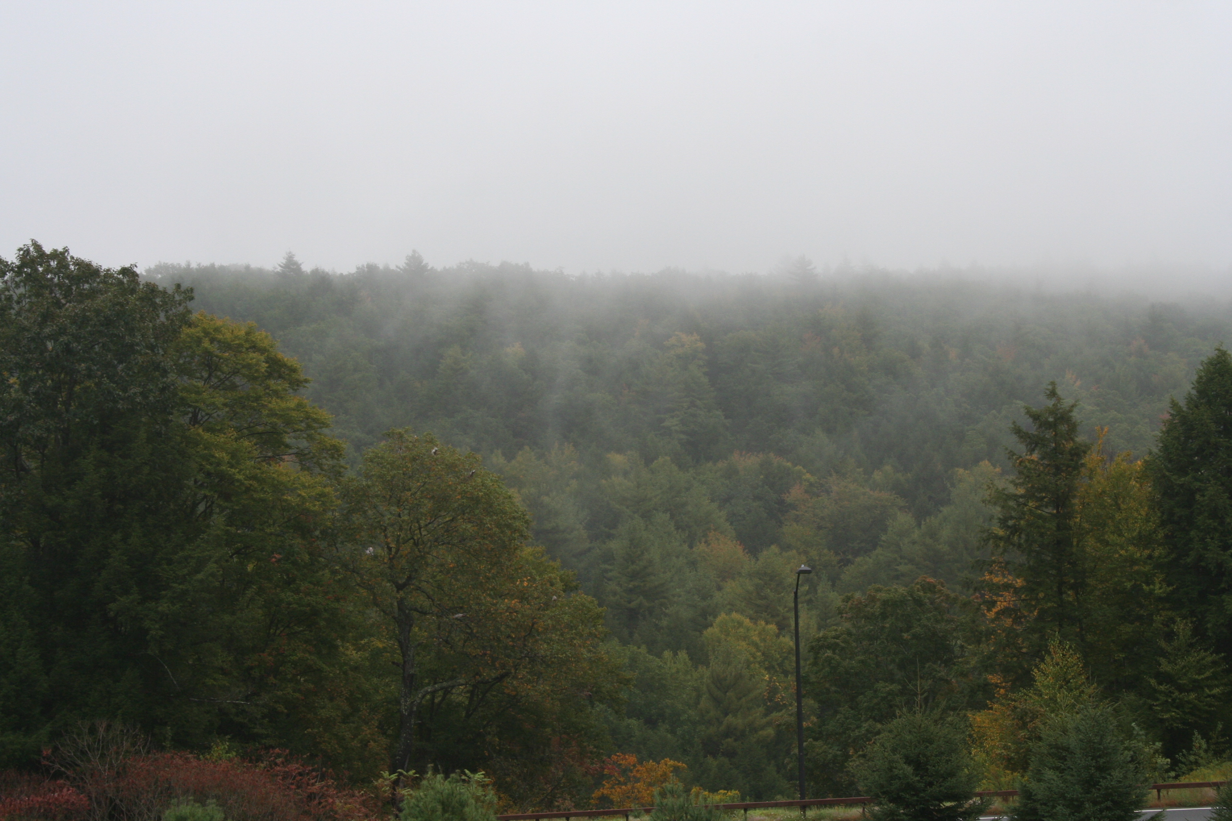 Misty Morning (user submitted)