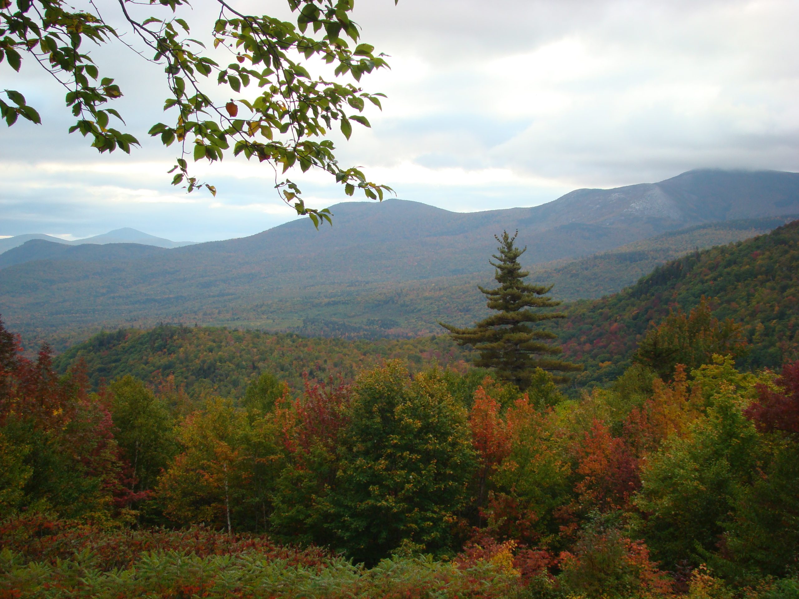 View From Mt Washington Auto Road (user submitted)