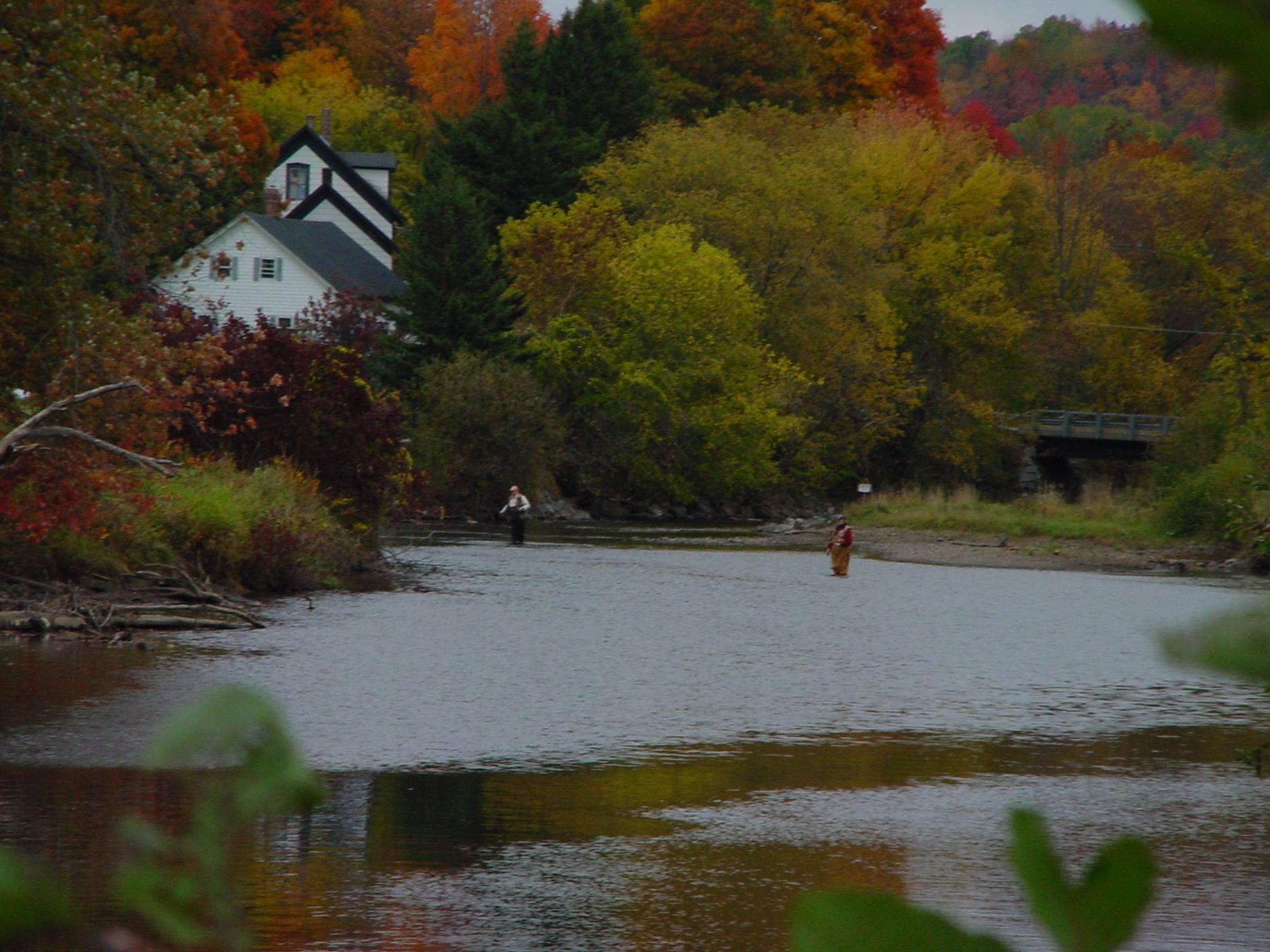 Fly-Fishing in the Fall (user submitted)