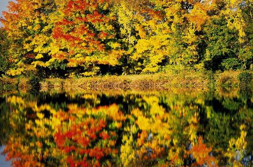 Autumn Lake (user submitted)