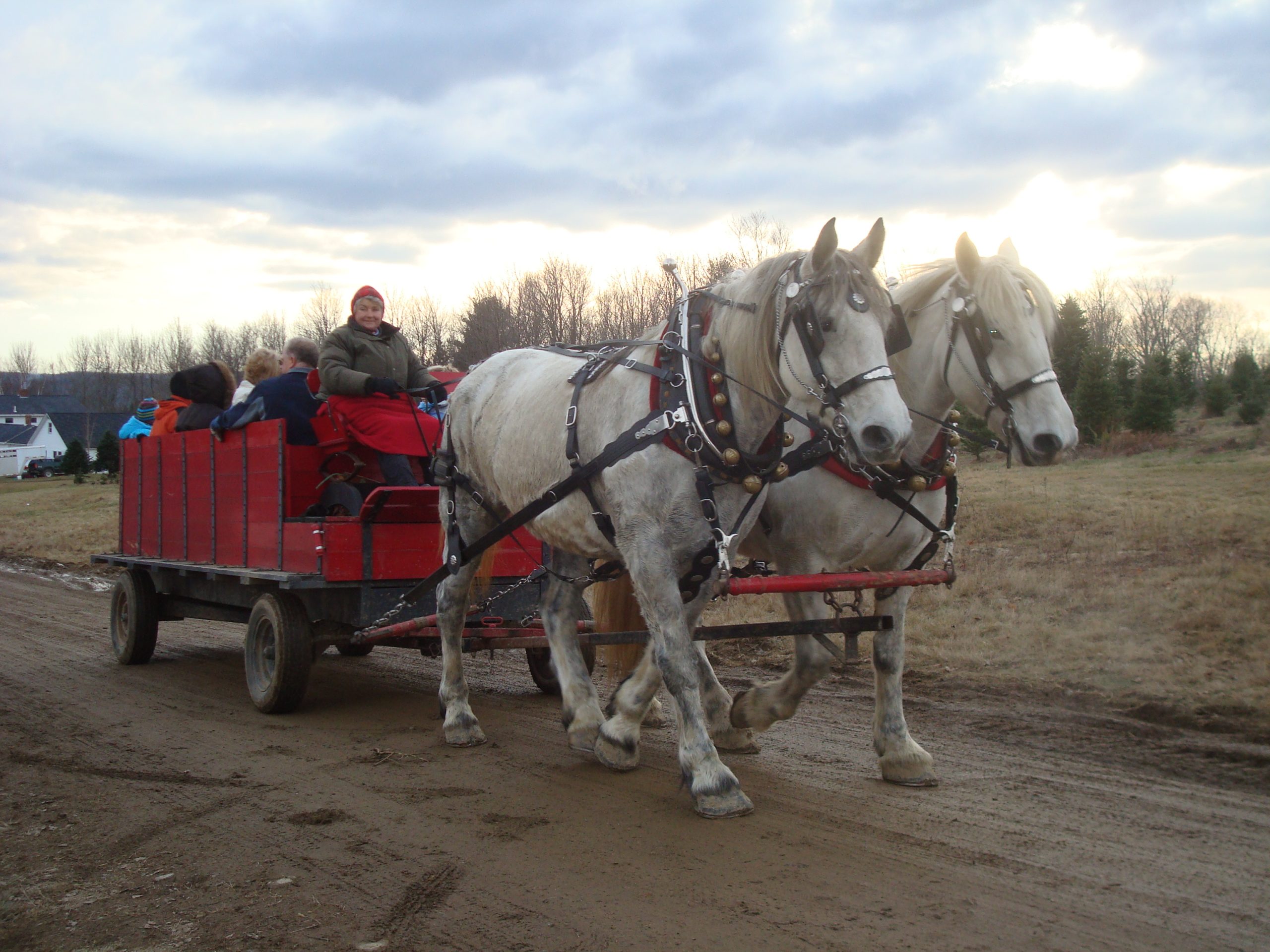 Winter Hayride In The Country (user submitted)