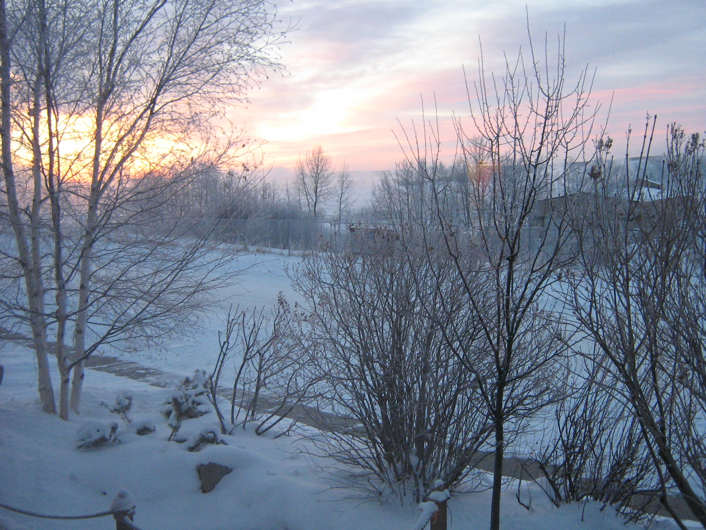 Winter Morning (user submitted)