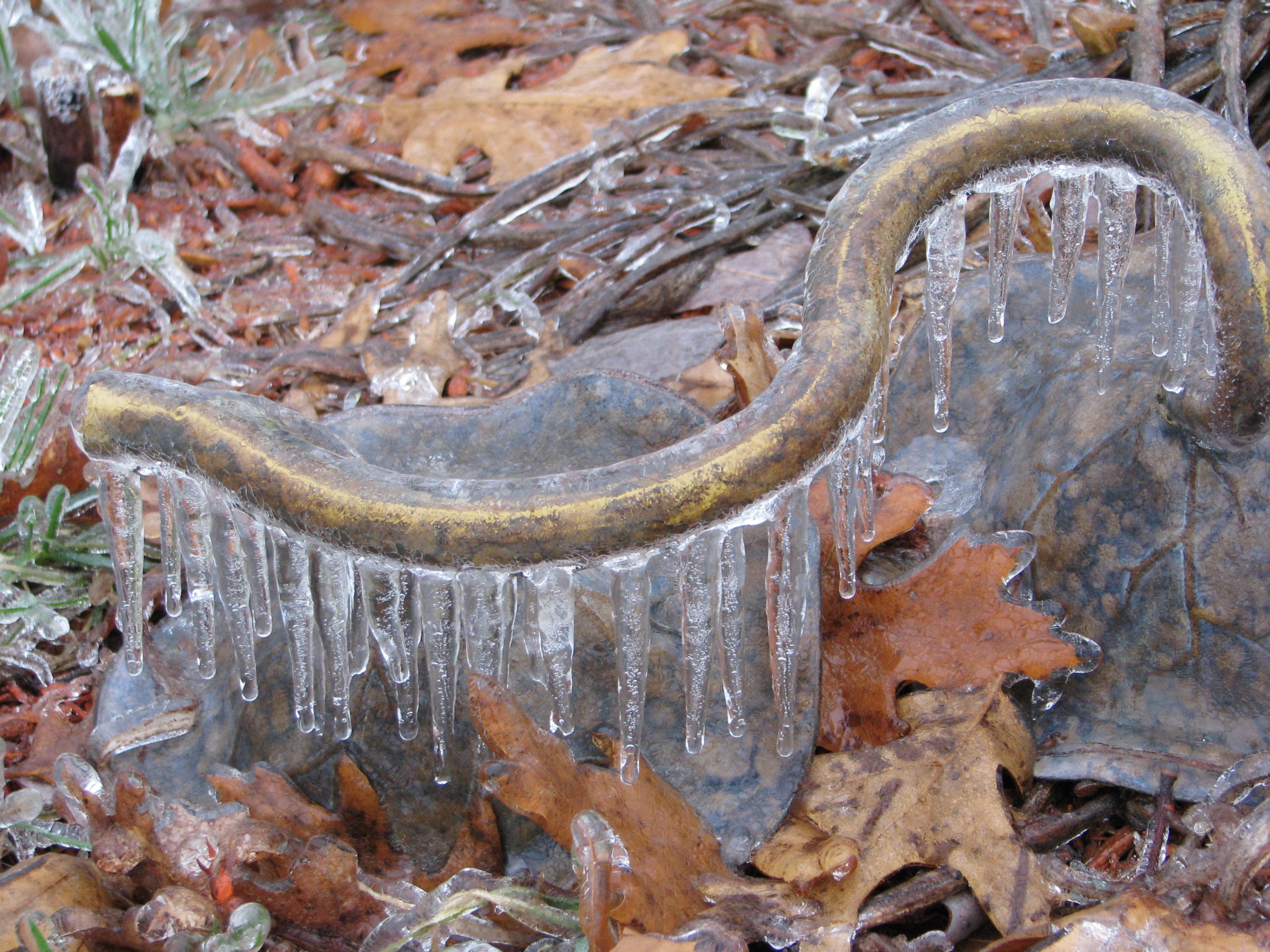 A Frozen Wonderland- Ice Storm In Nh (user submitted)