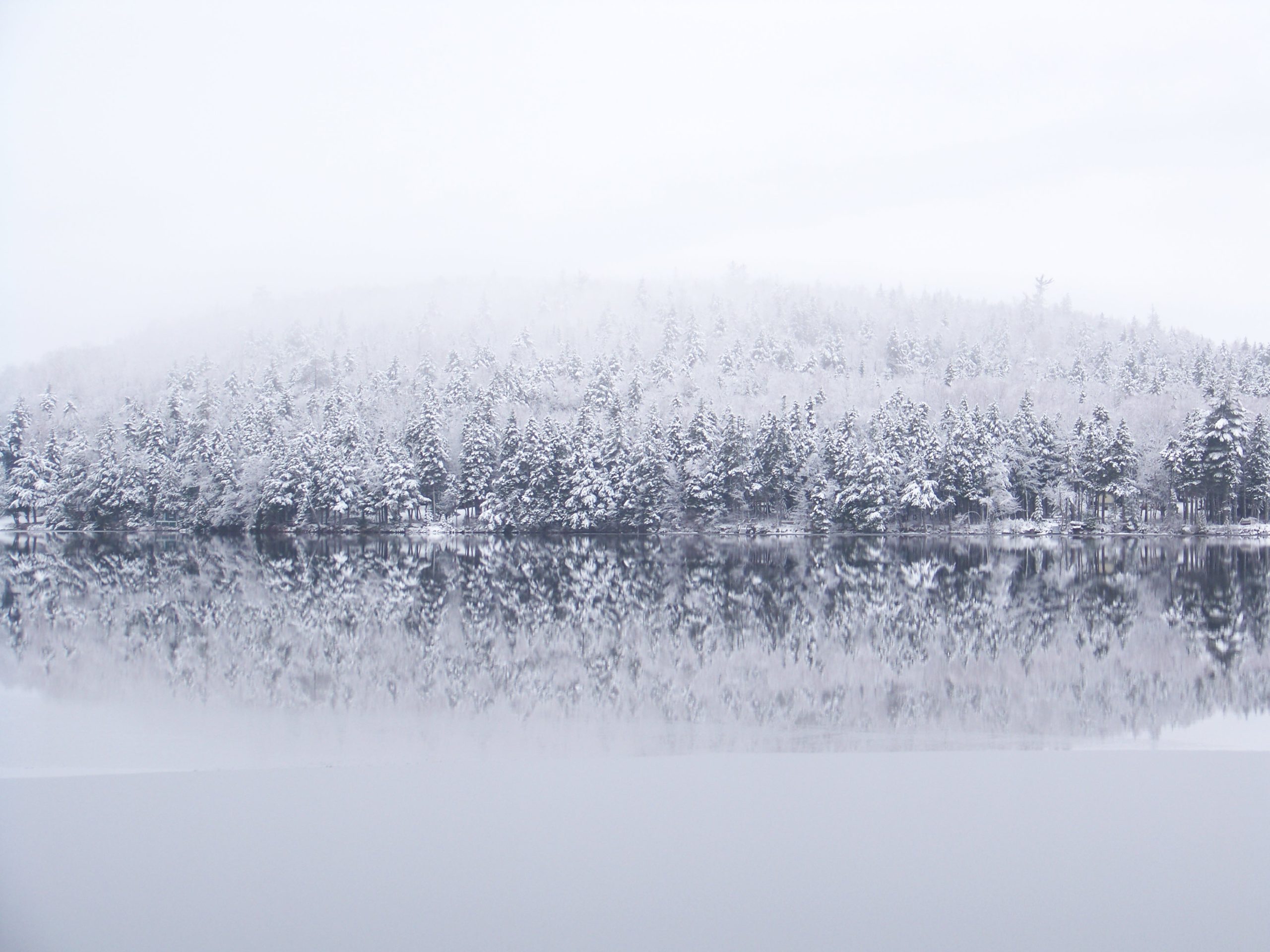Winter On Bog Lake (user submitted)