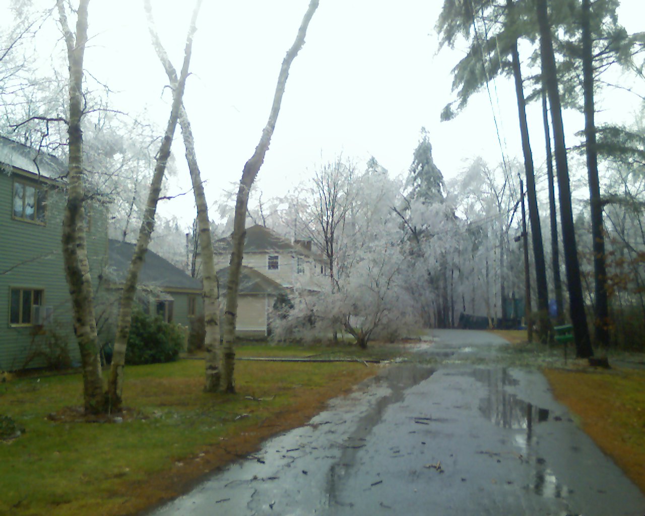 Ice Storm  (user submitted)