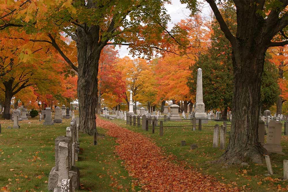 Cemetery Path (user submitted)