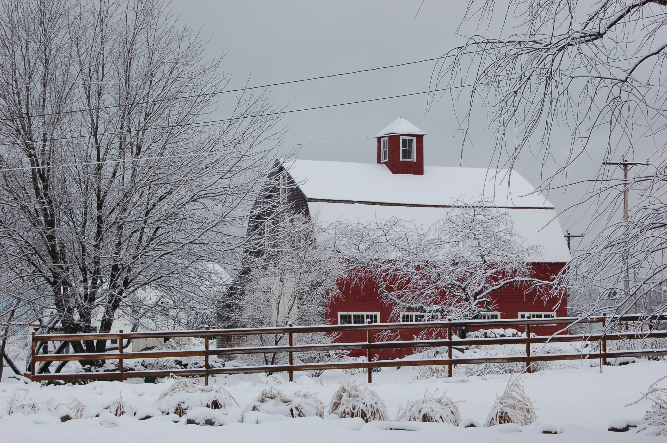 Snow Covered Barn  (user submitted)