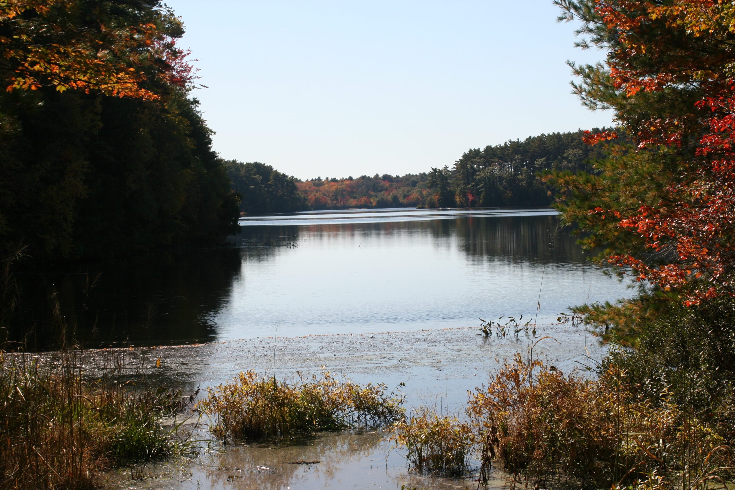 Massasoit State Park - New England