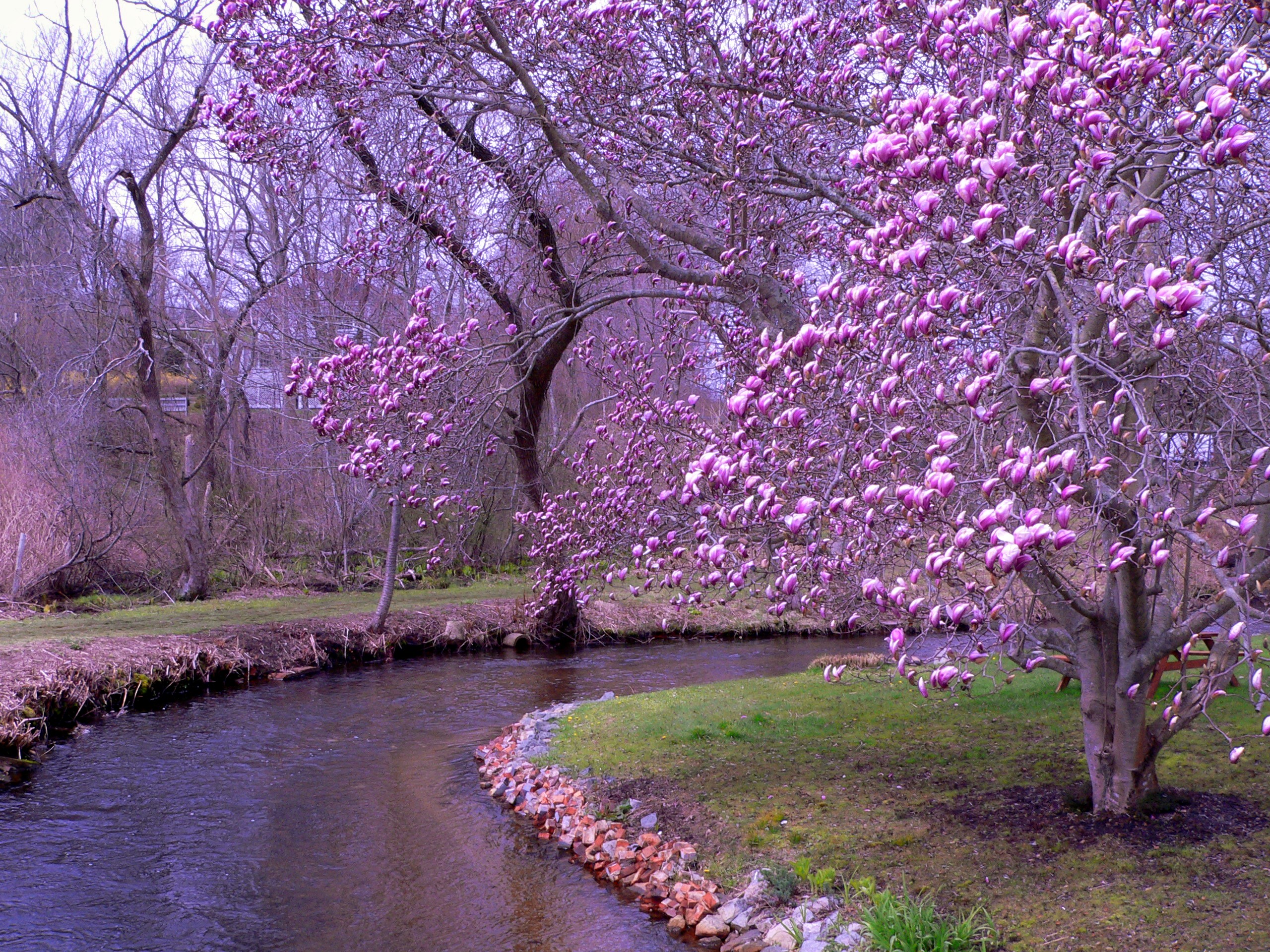 spring trips in new england