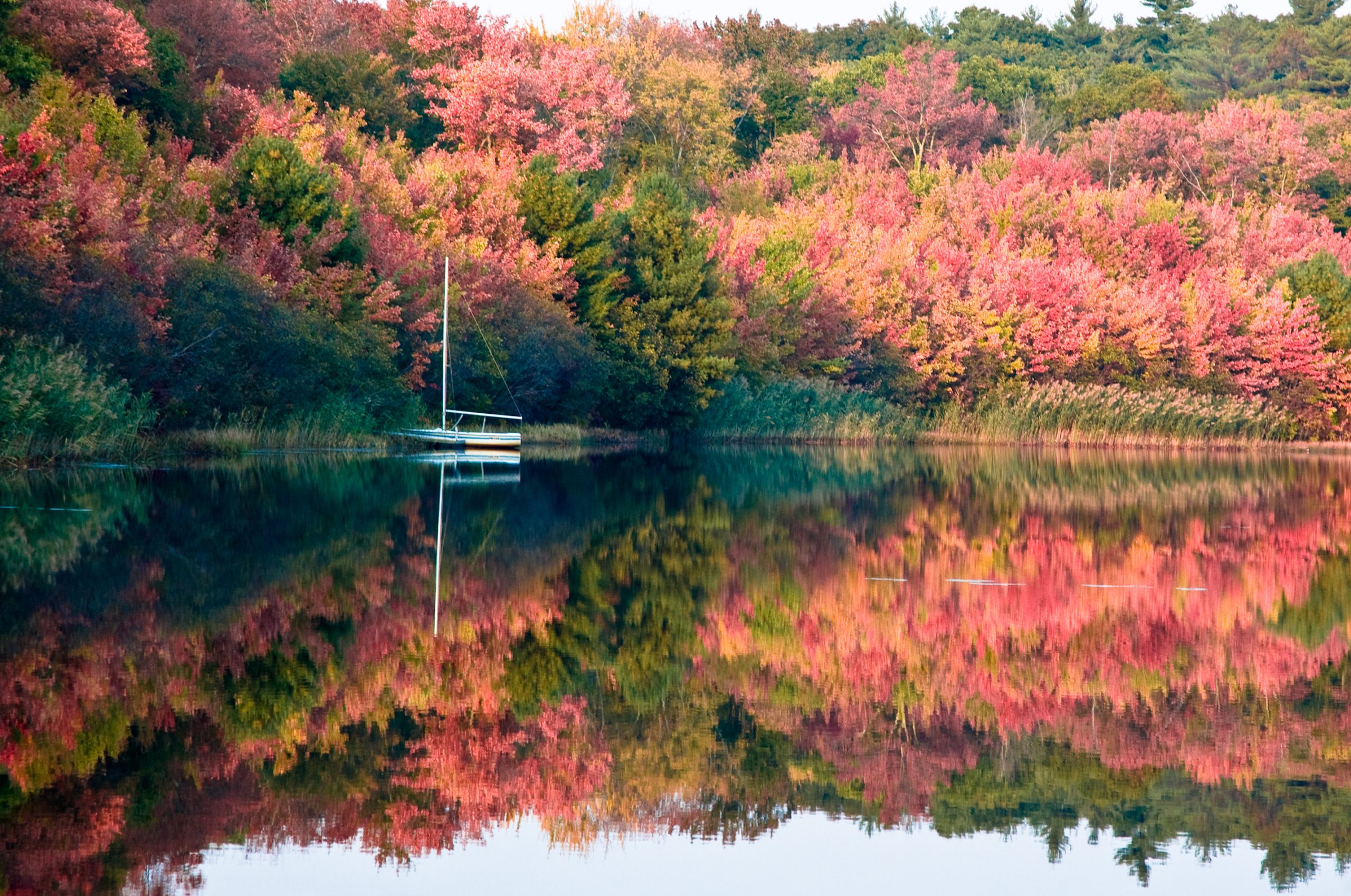 Fall Pond Color  (user submitted)