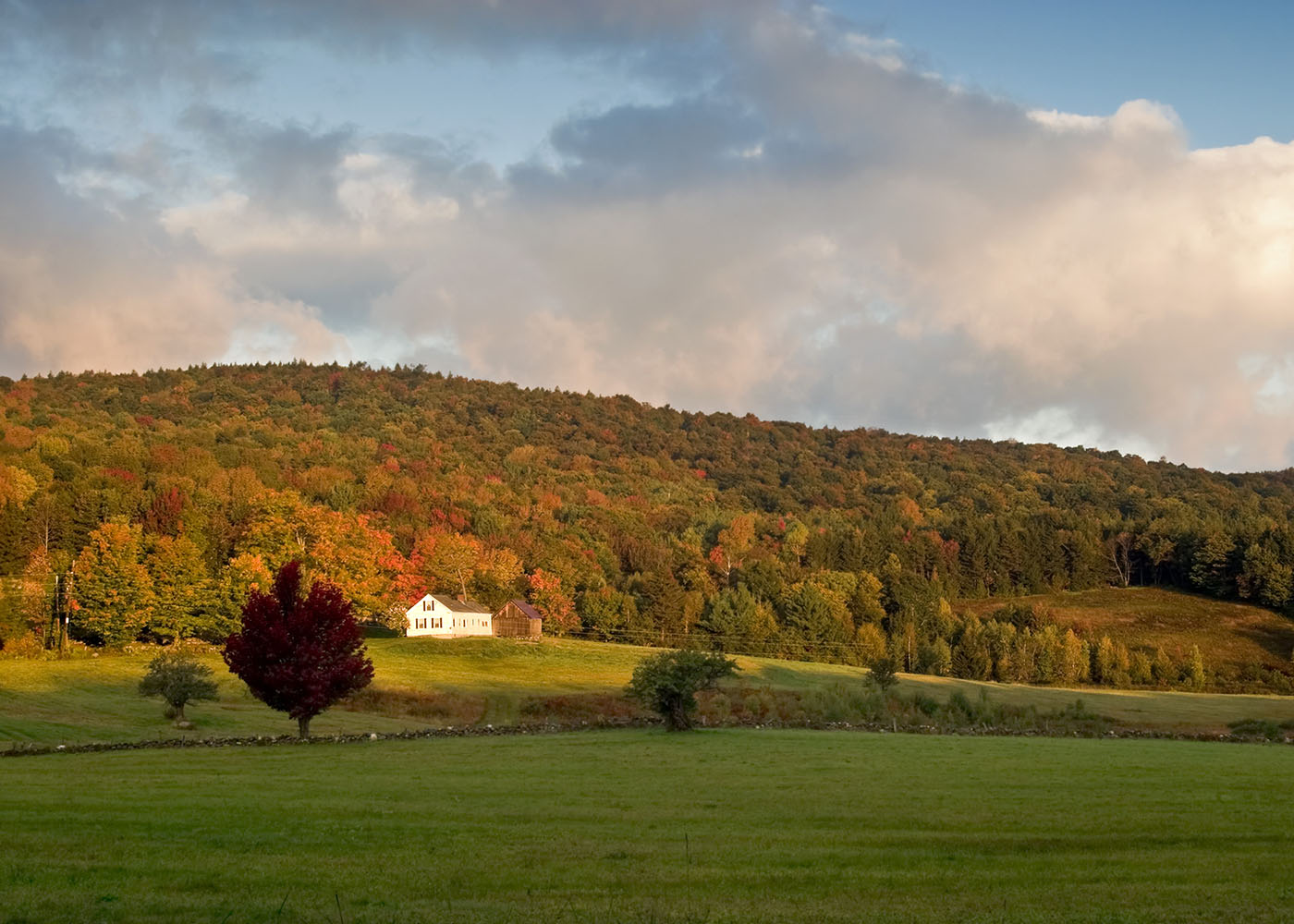 Autumn In Vt - New England