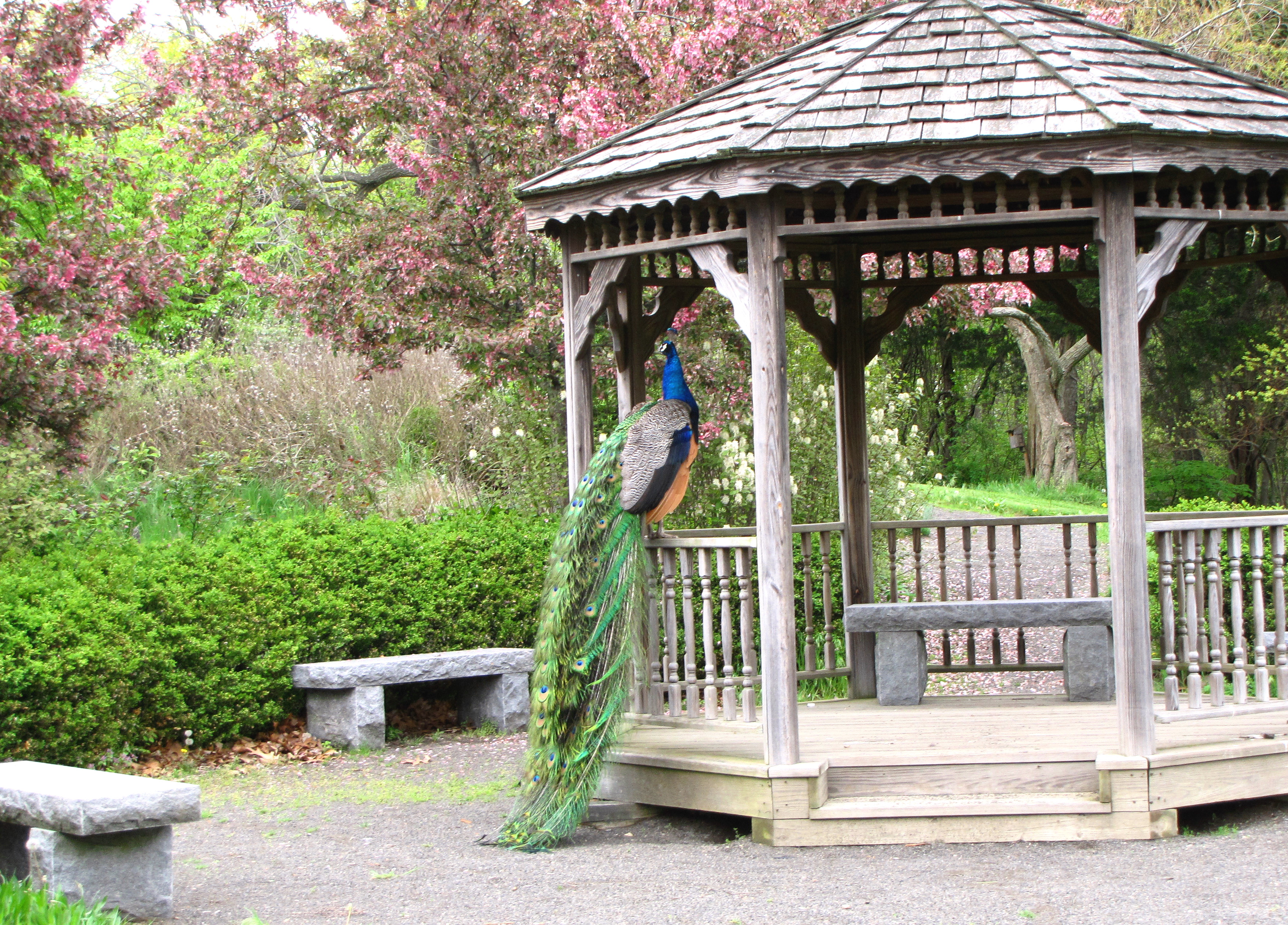 The Beauty Of Beardsley Park New England Today