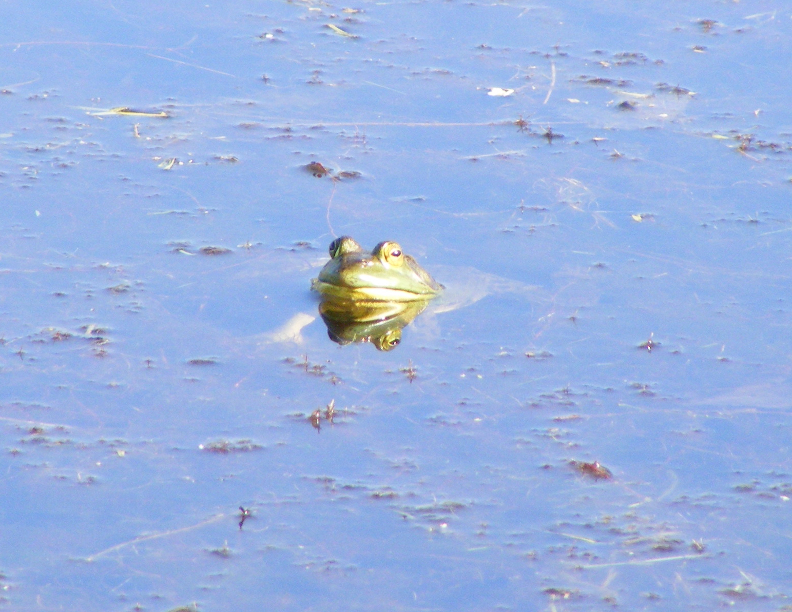 Just Hanging Out - New England