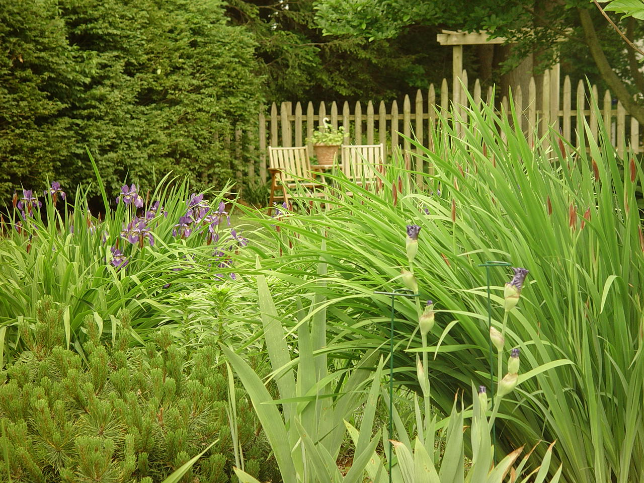 Connecticut Garden In Spring (user submitted)