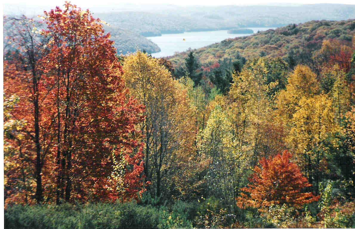 View of the Quabbin Resevoir (user submitted)