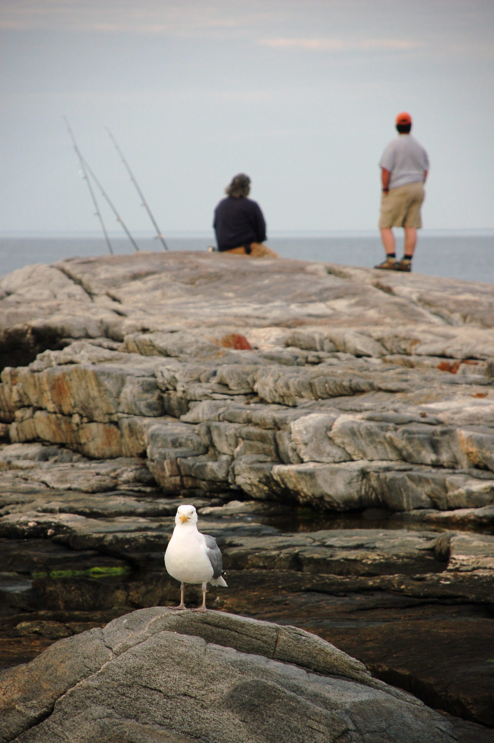 The Fishermen (user submitted)